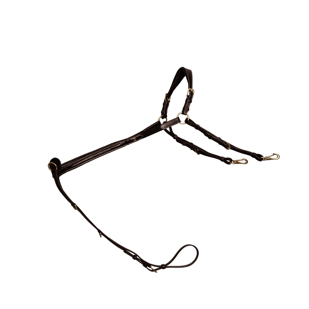 Vorderzeug mit Brücke | Dy'on