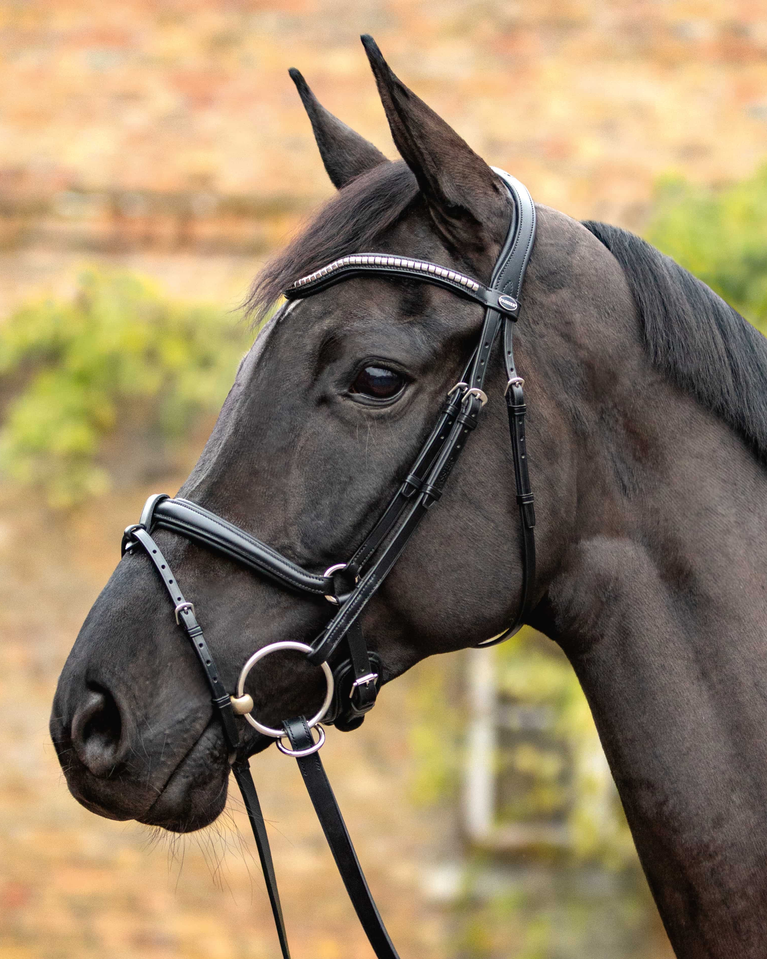 Bridle Balance anatomical stainless steel incl. reins in black