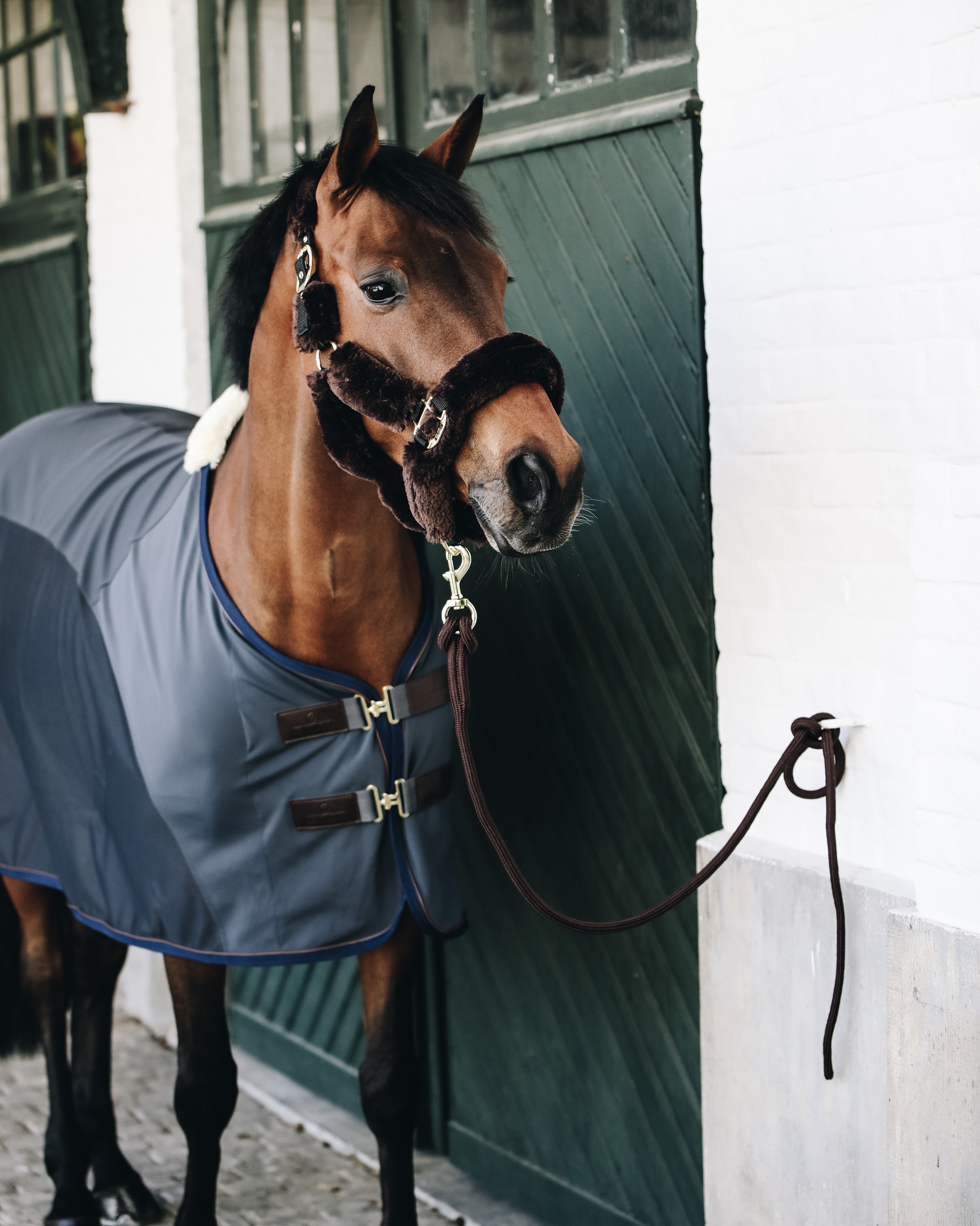 Softshell sweat rug