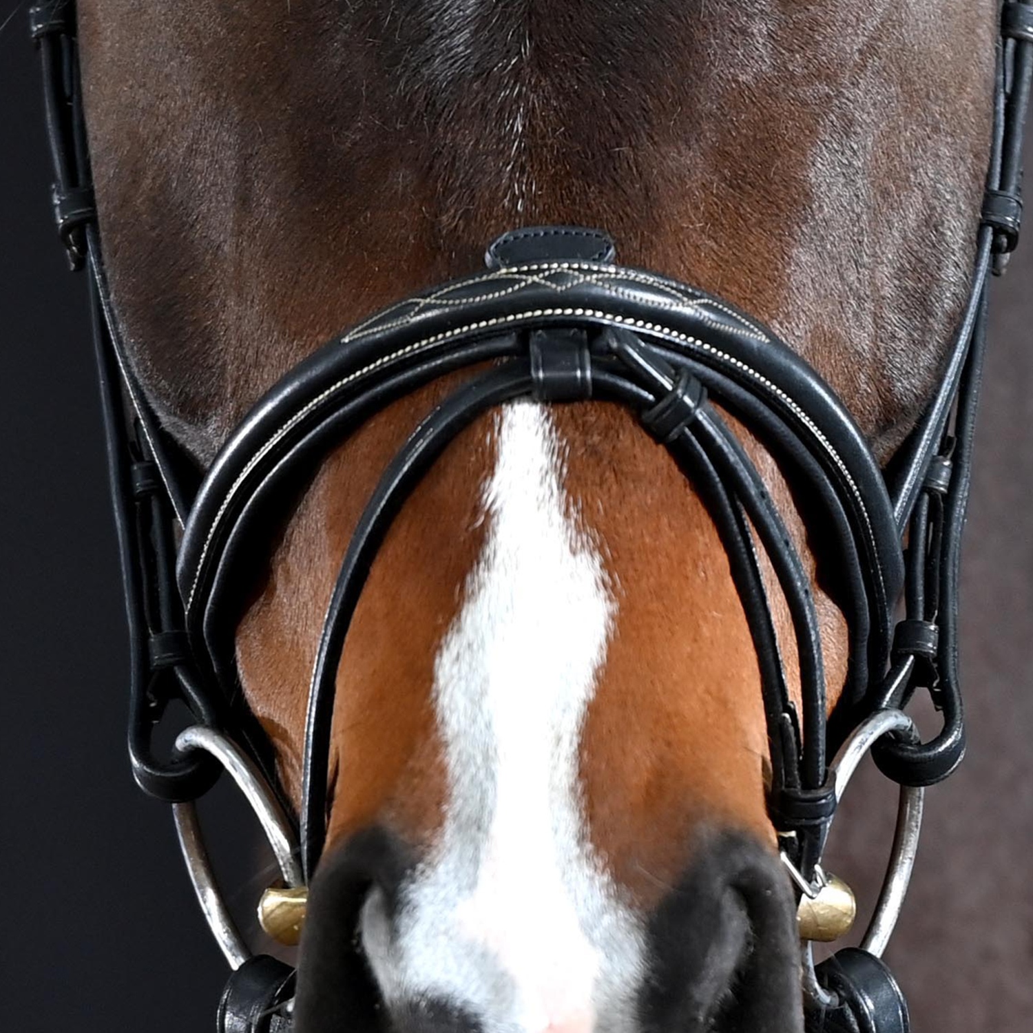 Trense Take-Off Line AD