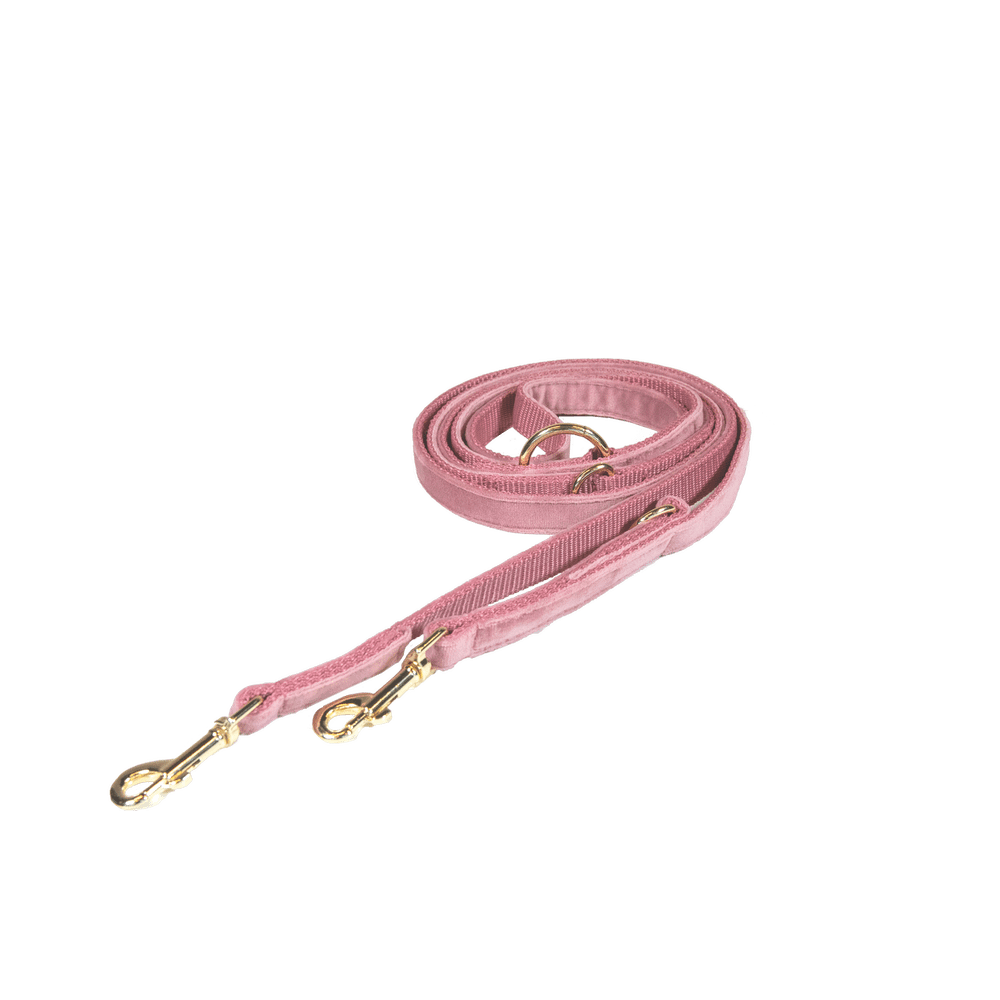 Hunde Leine Velvet 200 cm