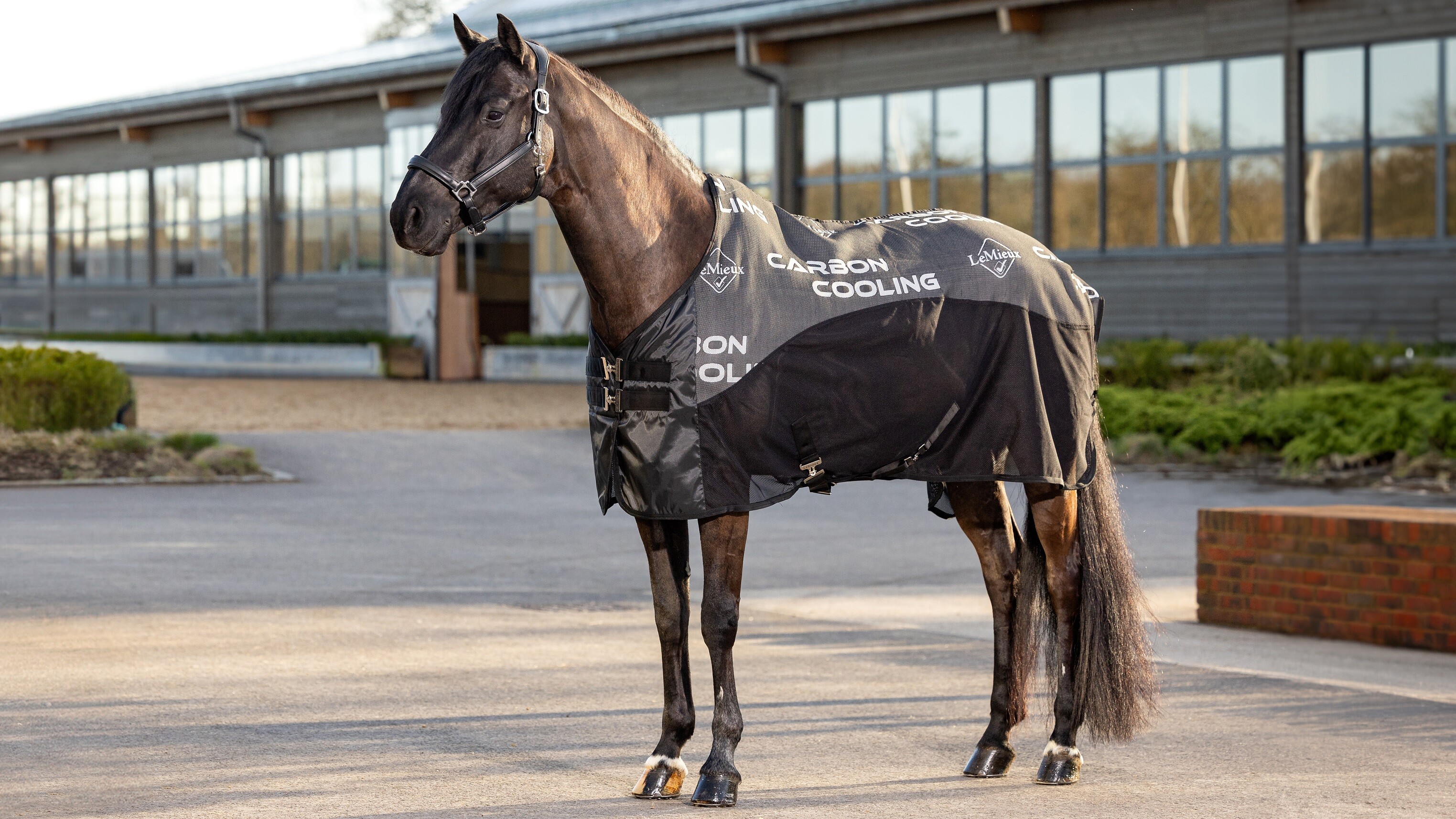 Carbon Cooler koeldek