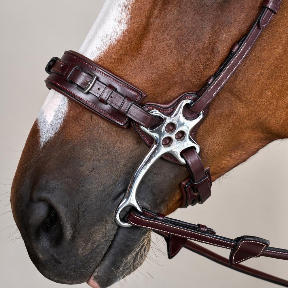 Hackamore-Zaum US