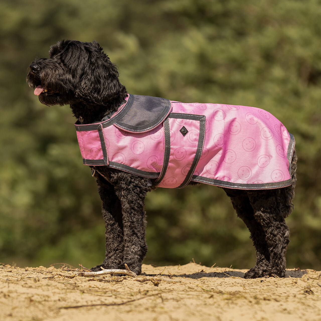 Hundedecke Turnout Collection