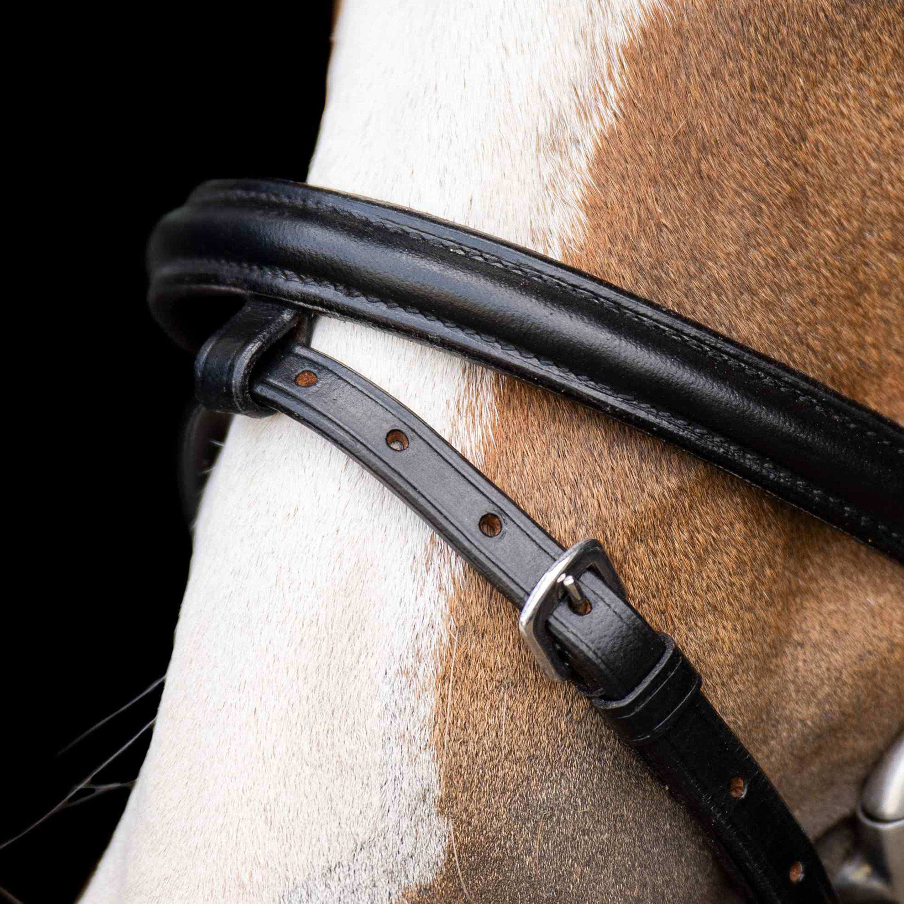 SHETTY Trense Stormy
