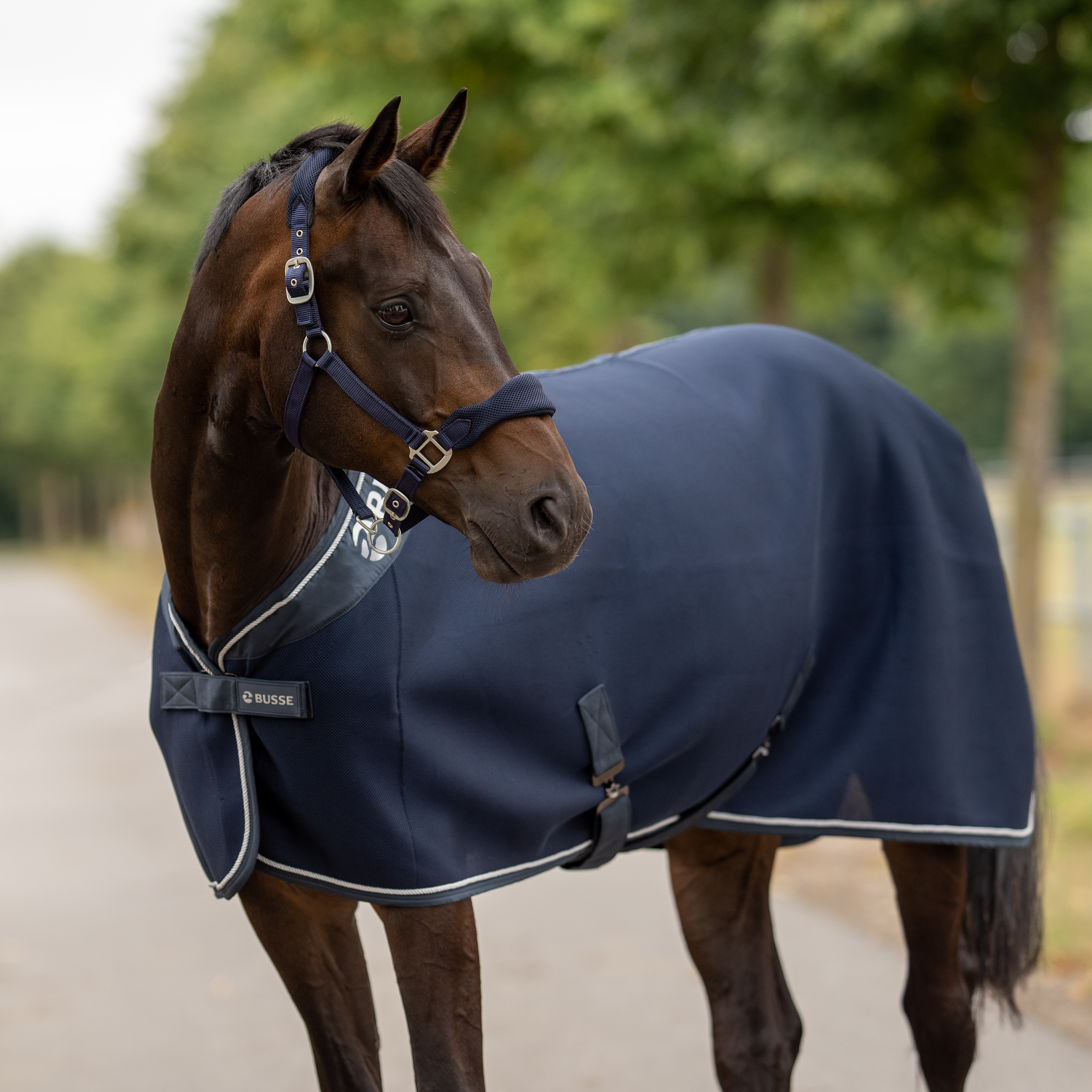 3D Air Premium sweat rug