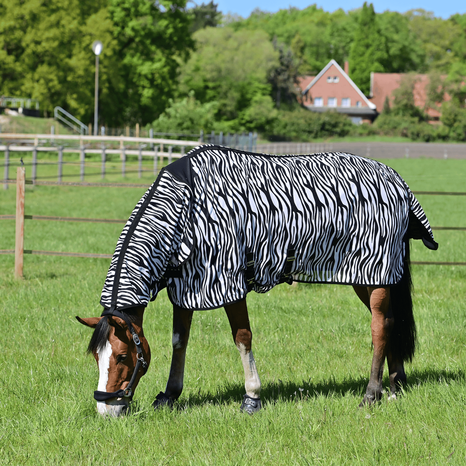 Outdoor-Fliegendecke Comfort Pro Zebra