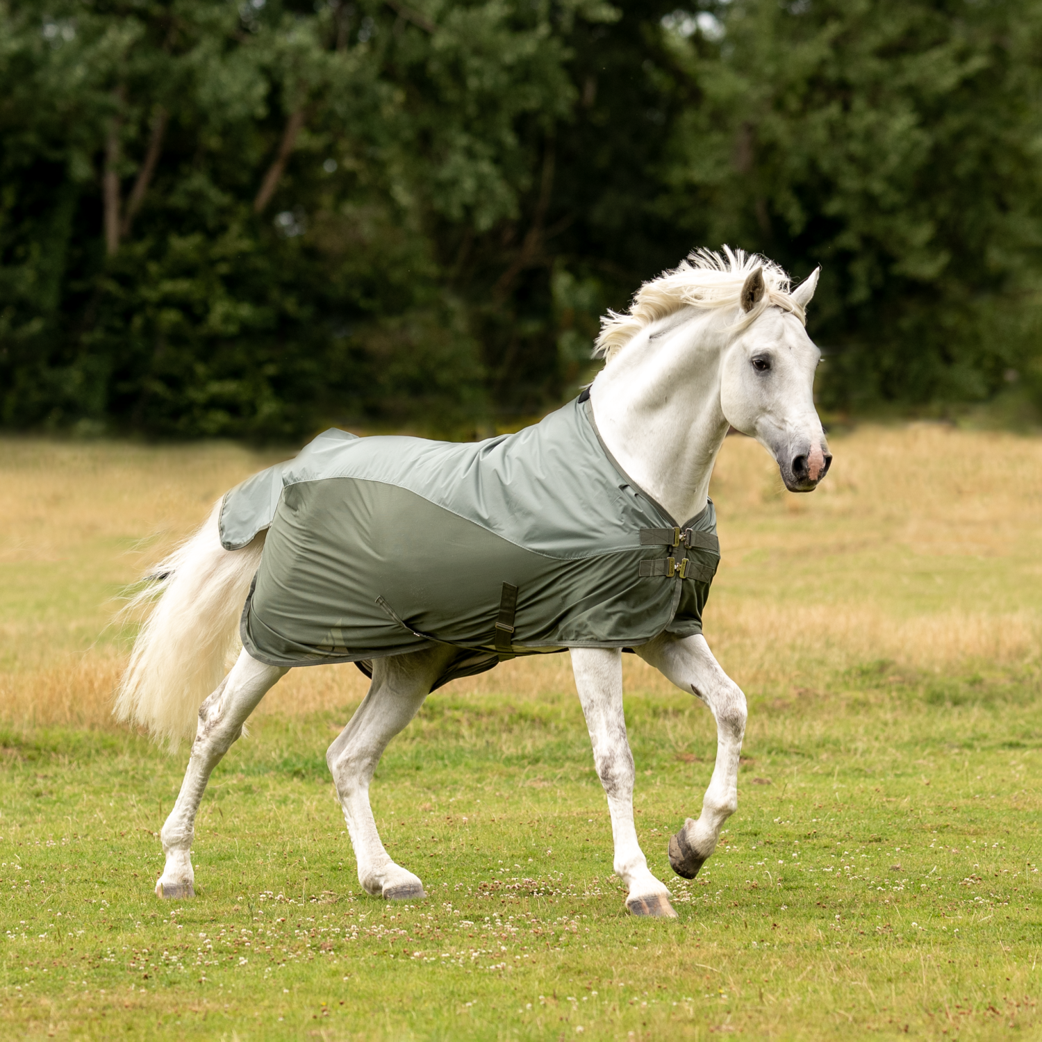 RainFly outdoor blanket