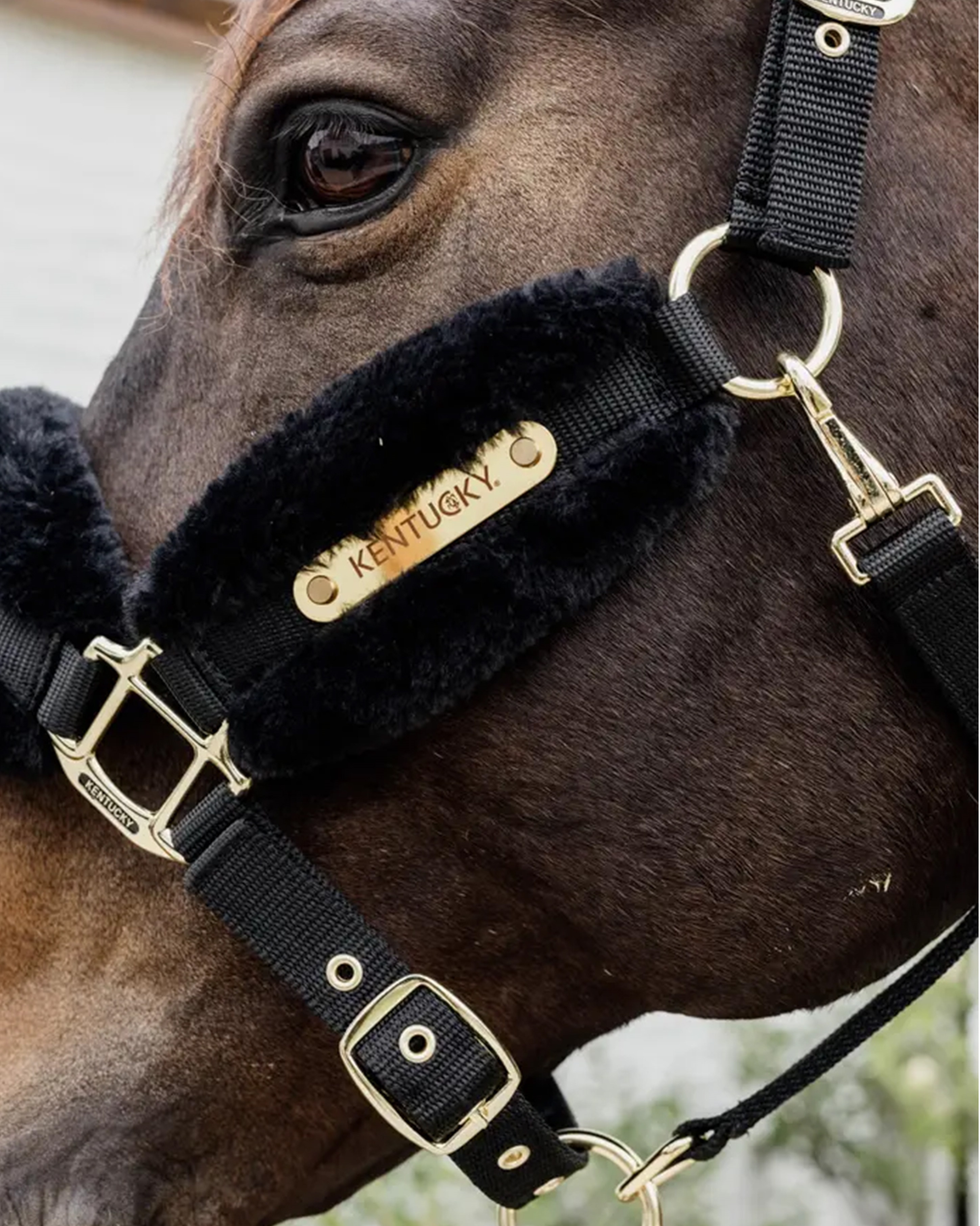 Halter sheepskin soft