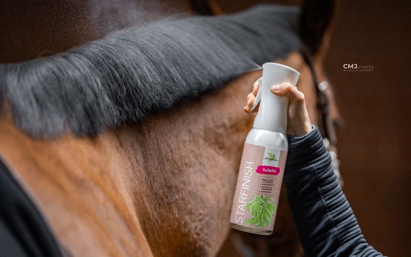 Mähnen- & Fellpflege Reiterin sprüht Pferd die Mähne mit einem Mähnenspray ein