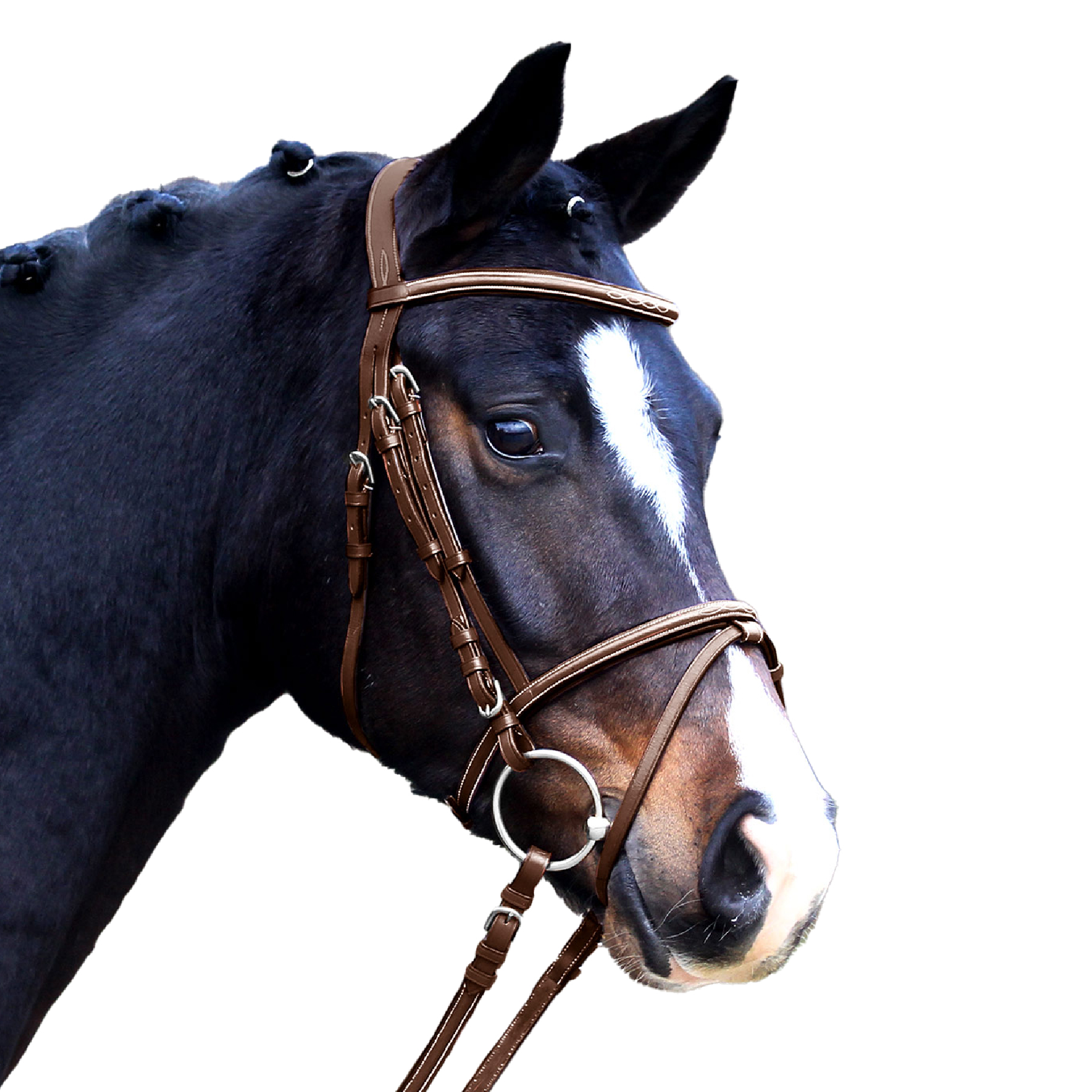 Trensenzaum X-Line Santander engl. komb