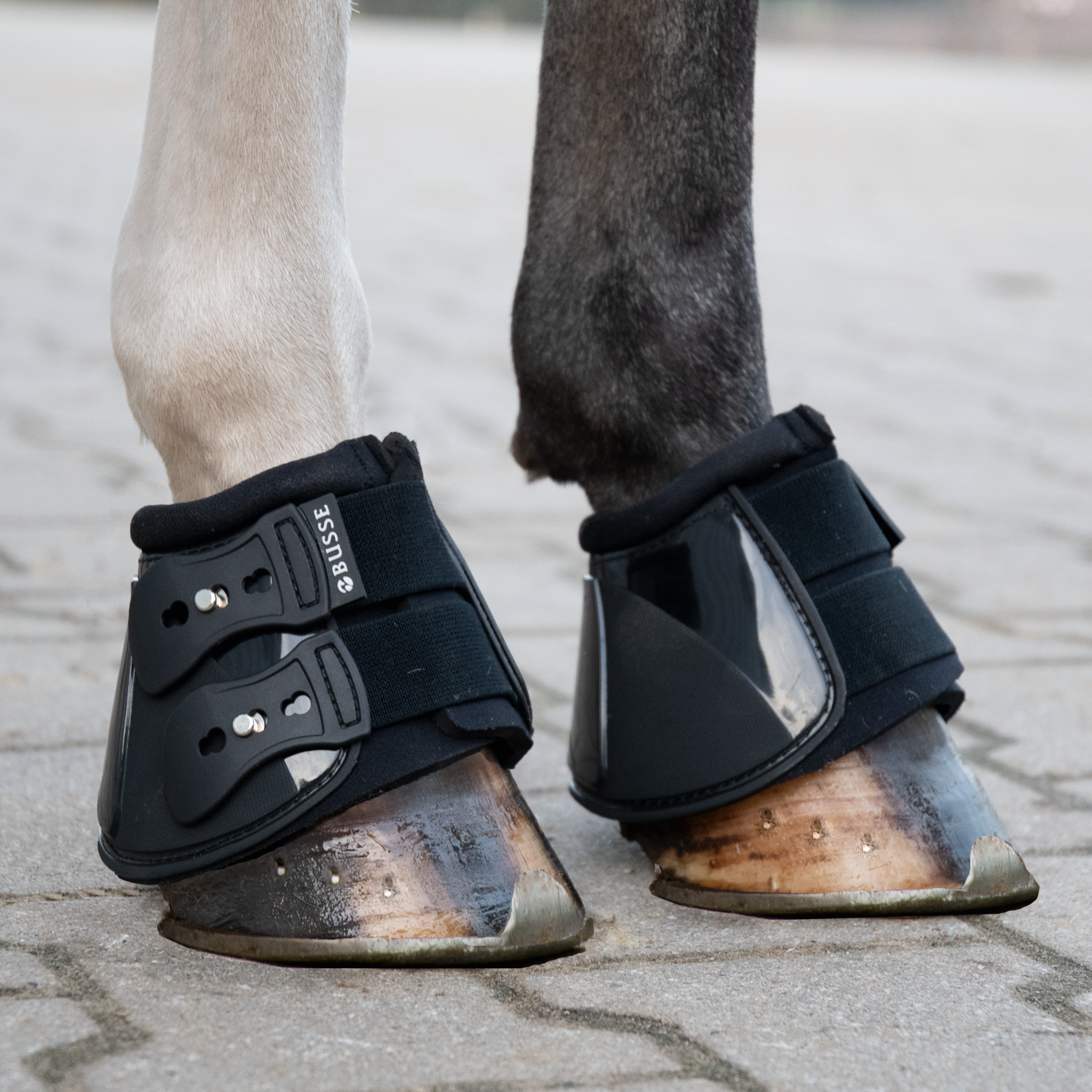 Cloches Pro-Stud