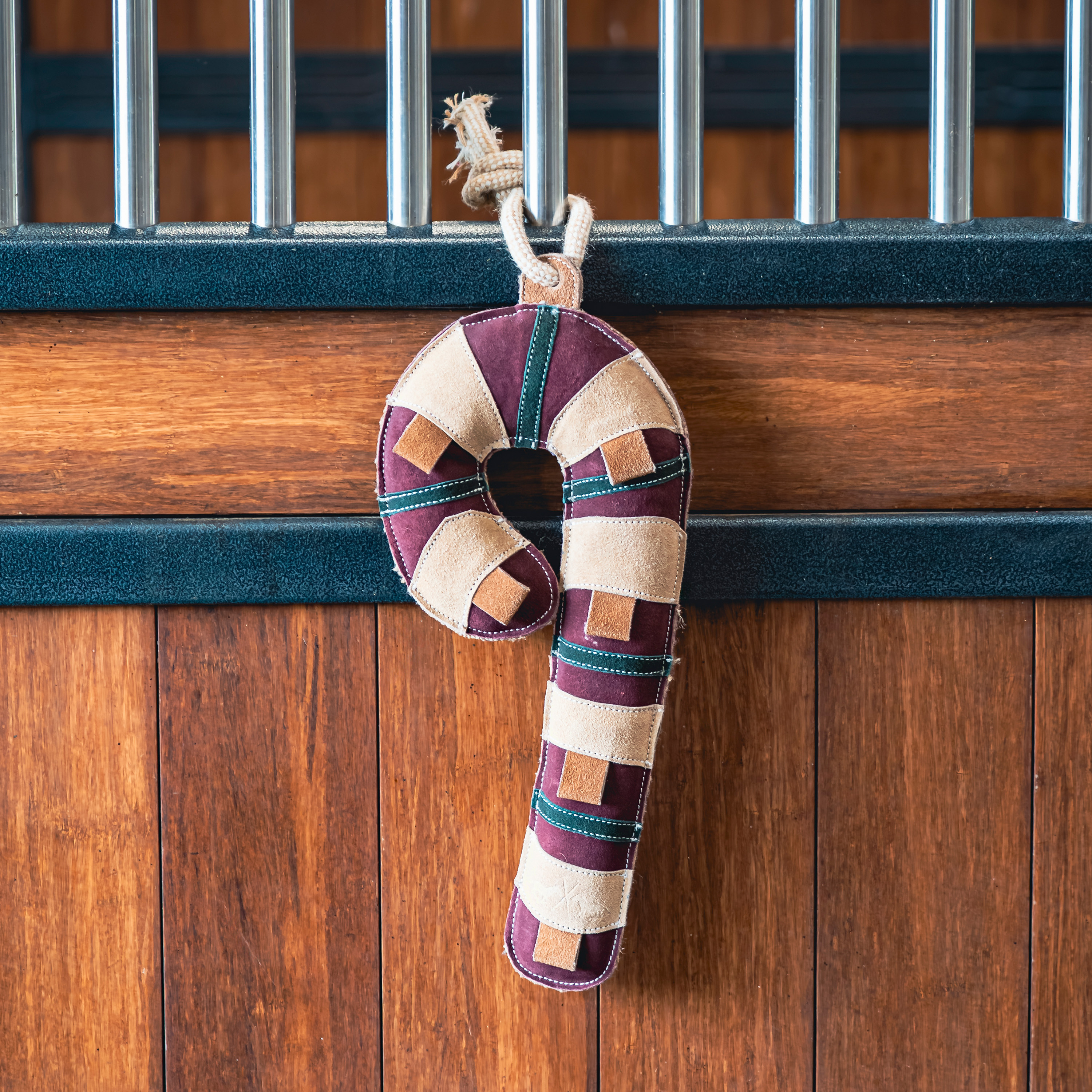 Stable buddy Lolly
