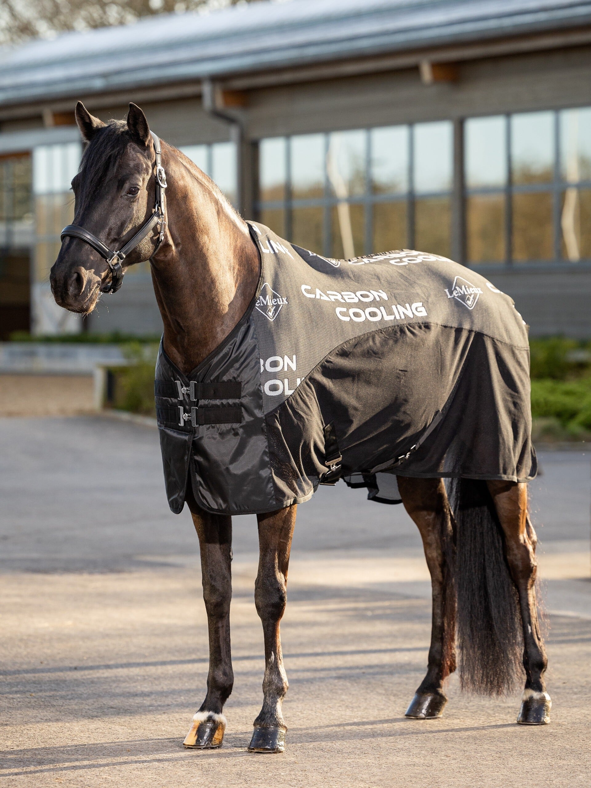 Carbon Cooler koeldek