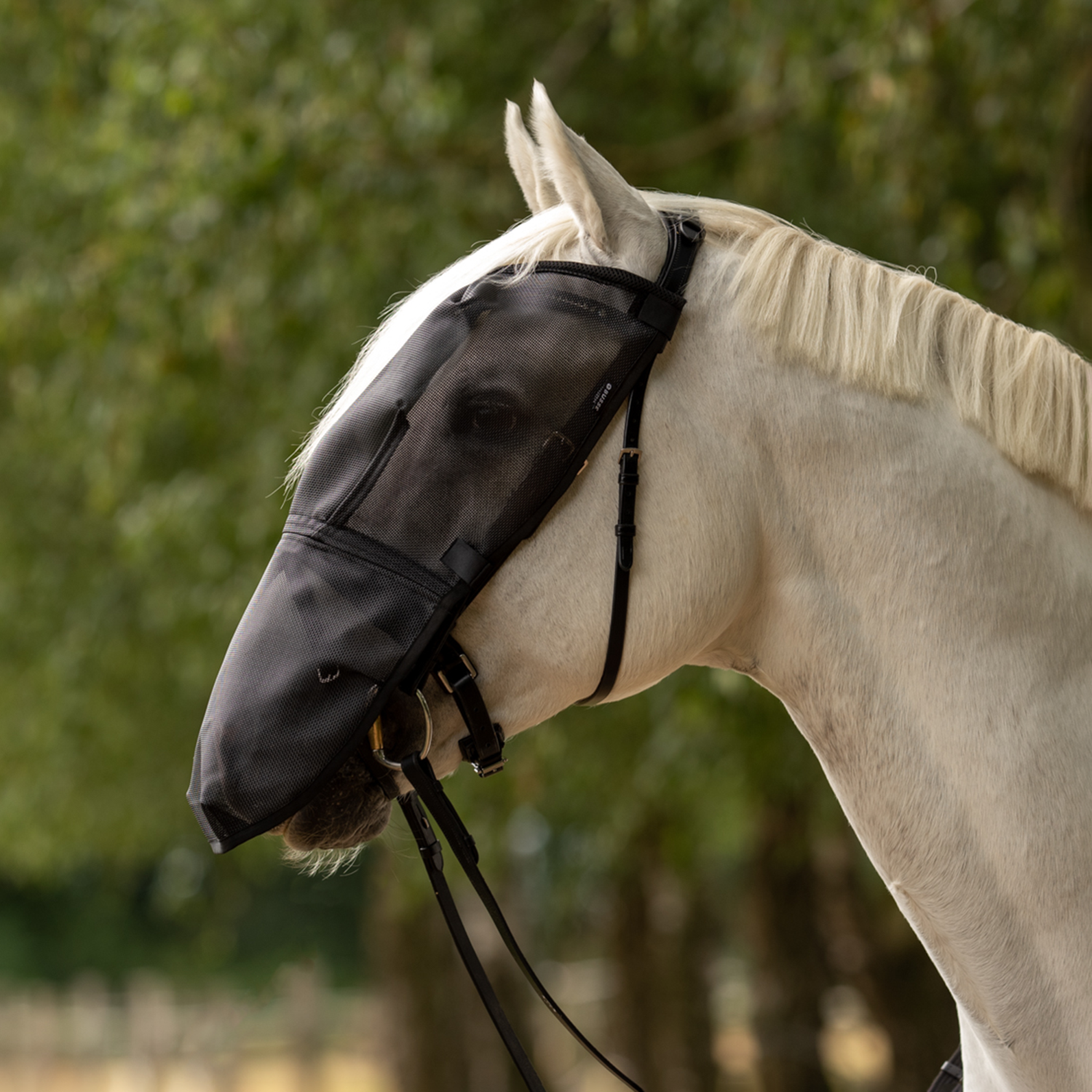 Riding Plus fly mask
