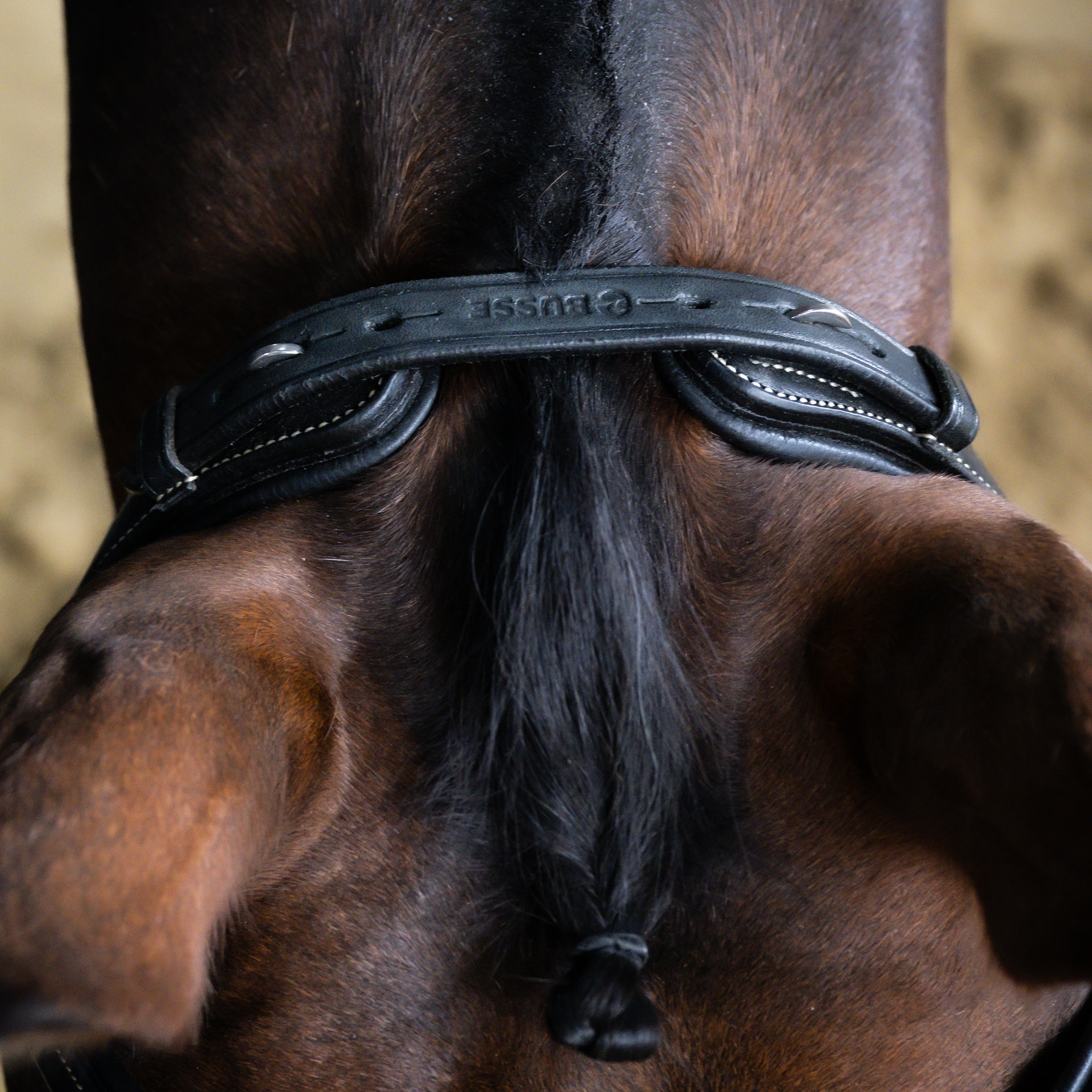 Snaffle Take-Off Line AD