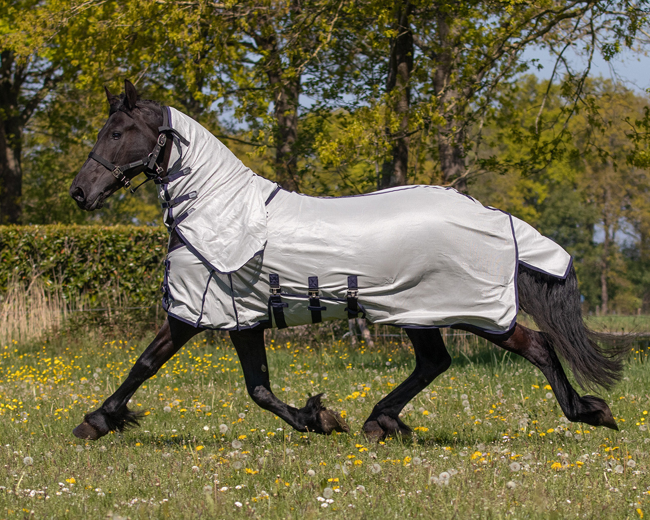Fly rug with neck and bonnet Big neck