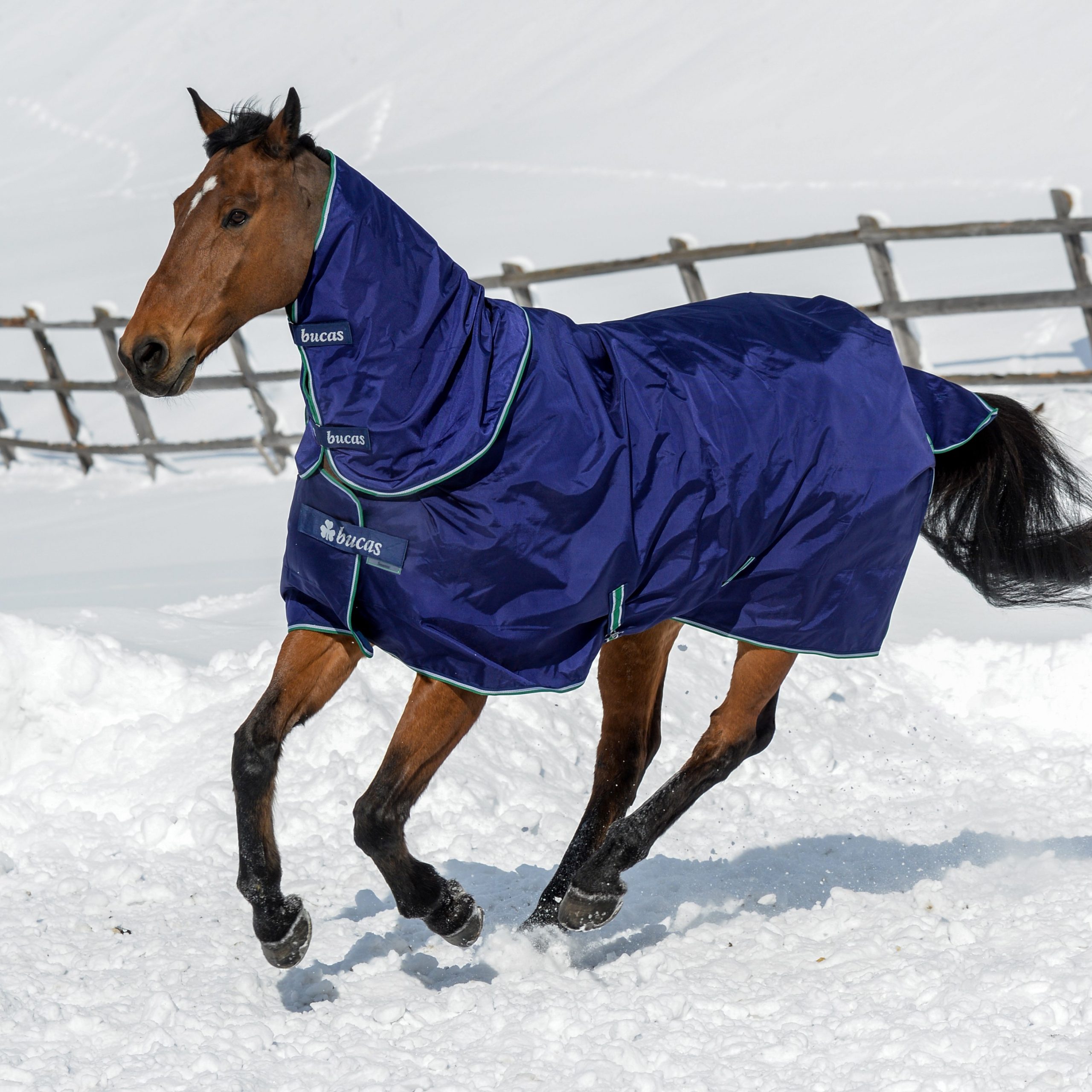 Halsteil Smartex Turnout Neck in Blue