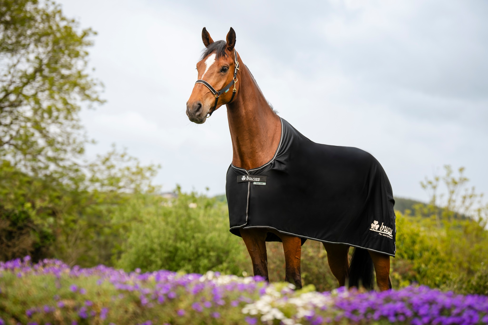Abschwitzdecke Power Prize Cooler in Black/Silver Logo