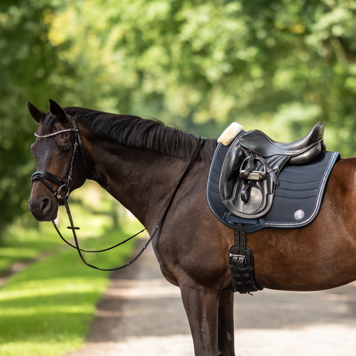 Schabracke 3D Air Effect KG