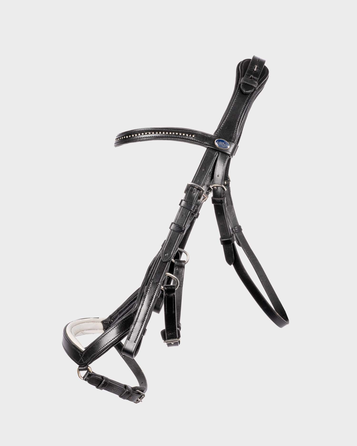 Snaffle Feeling