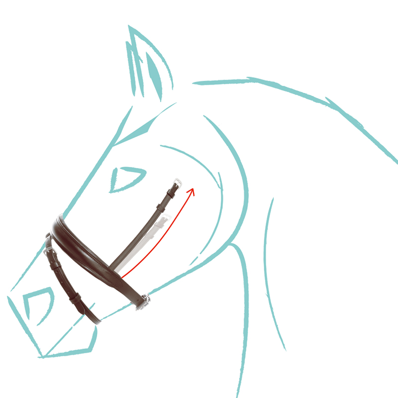 Narrow combined noseband "Cre8" special size Narrow combined noseband "Cre8" special size