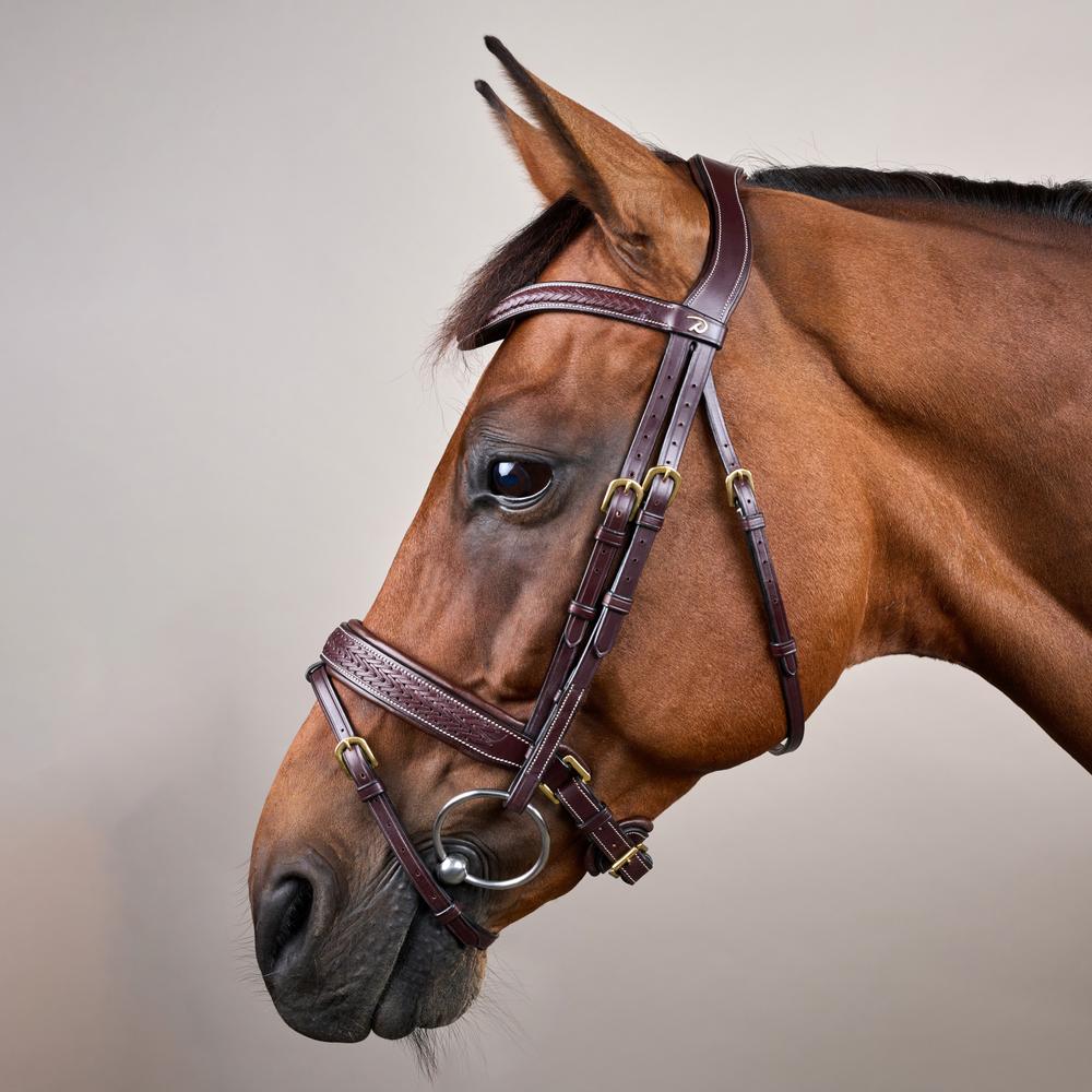 Geflochtene Trense mit schwedischen Reithalfter DY | Dy'on