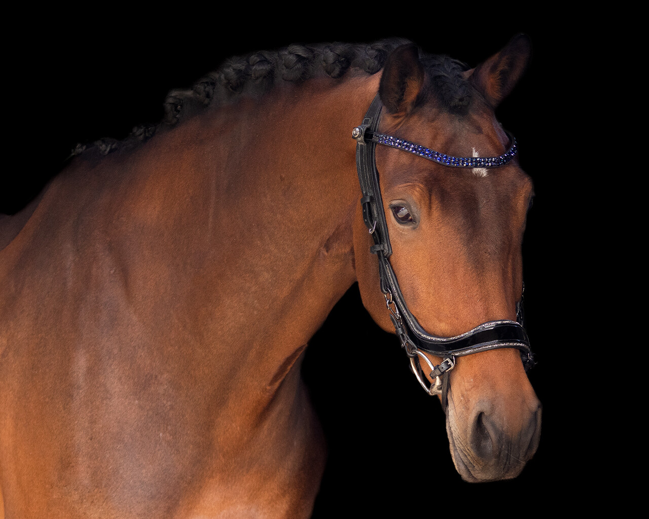 Browband StarGlow