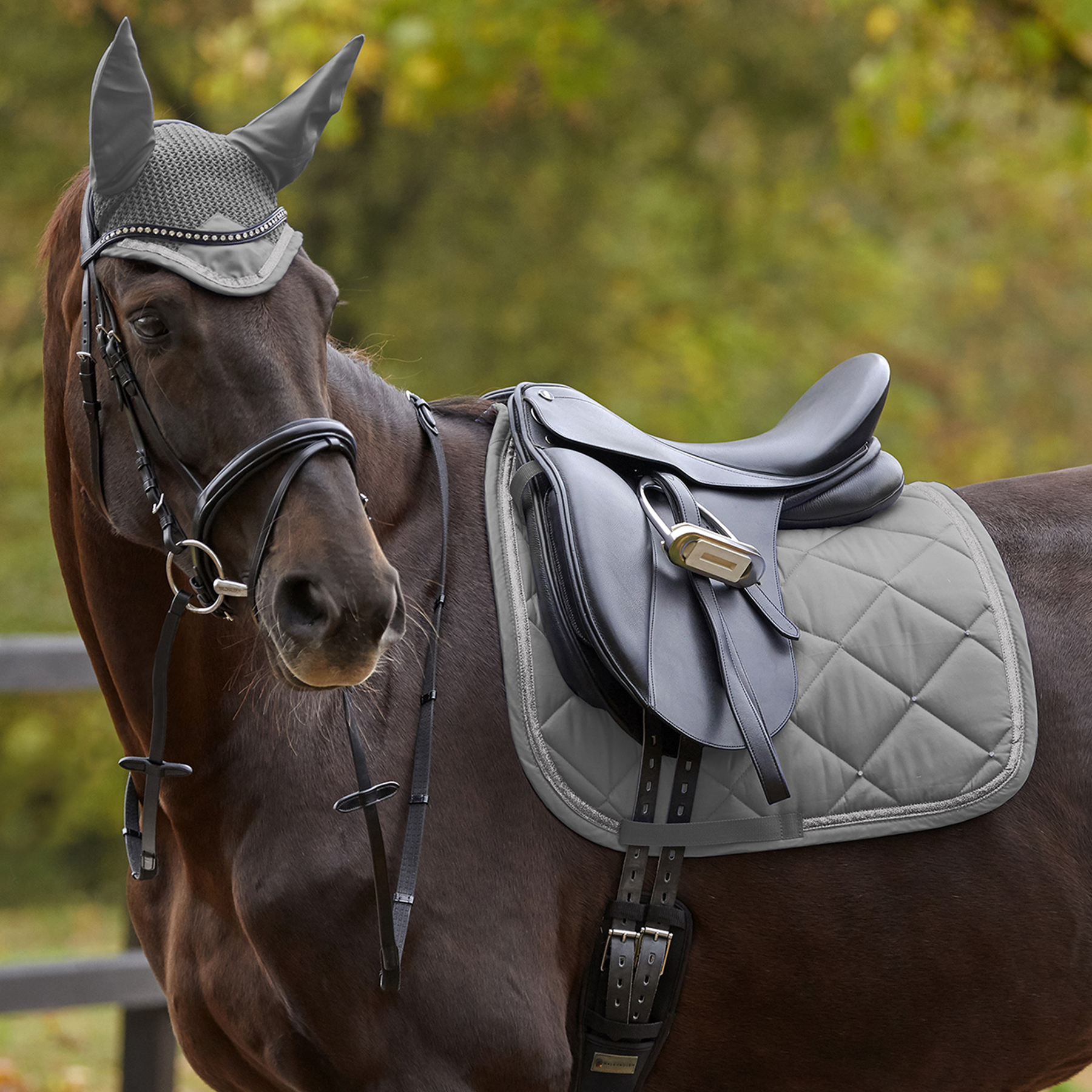Competition saddle pad
