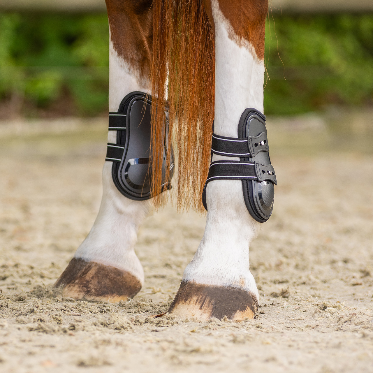 Champion fetlock boots