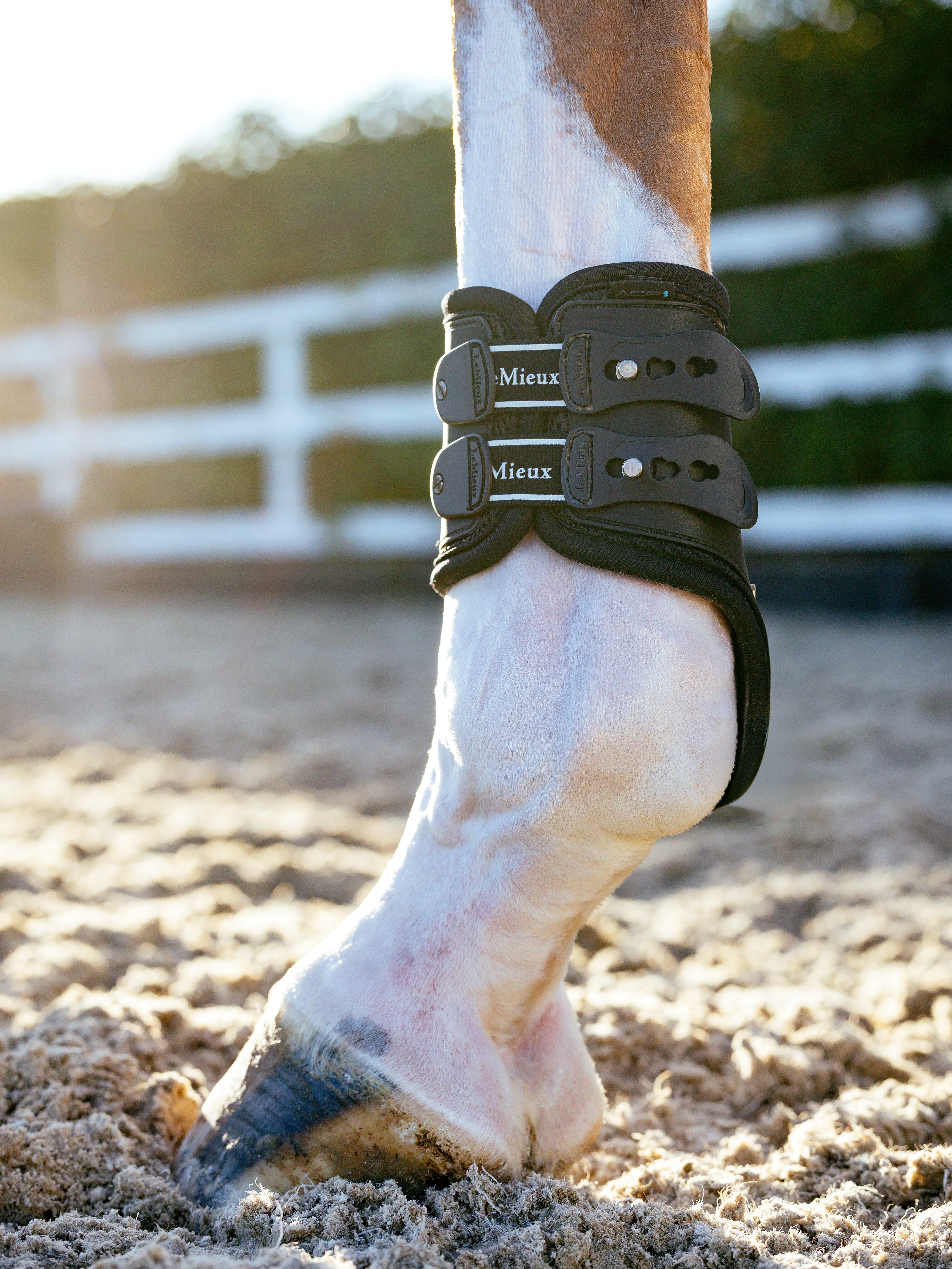 Exo-Flex® Fetlock-vervangriem-set