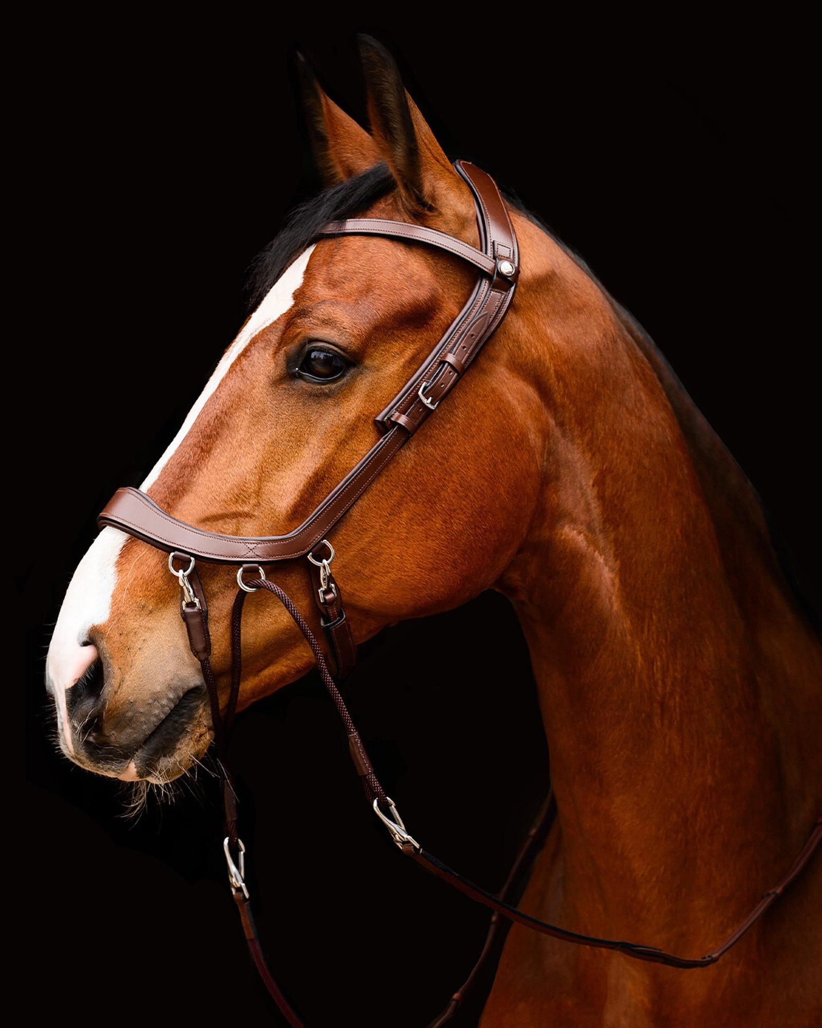 Snaffle FaySport bitless
