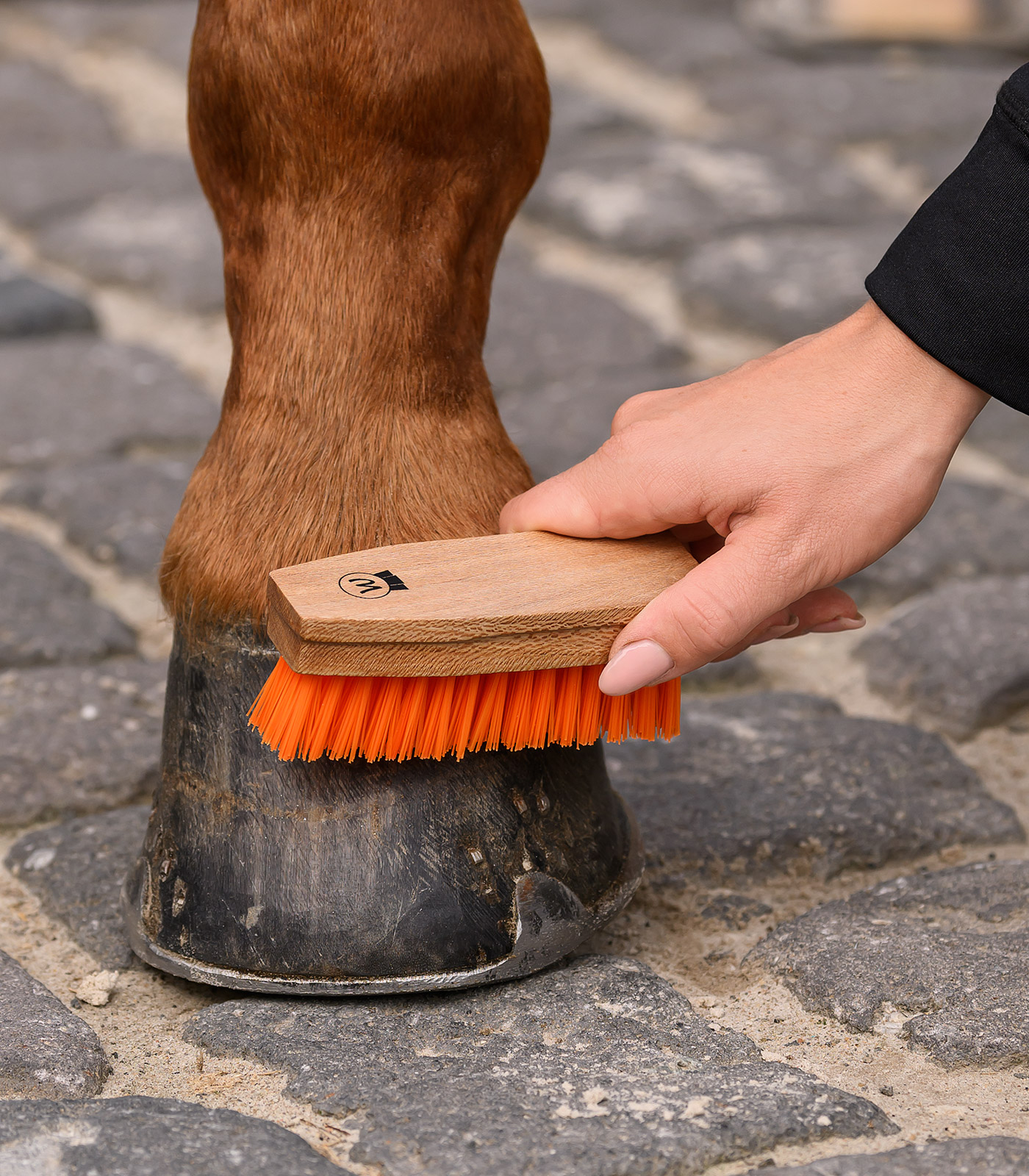 Hoof Brush Colorcare