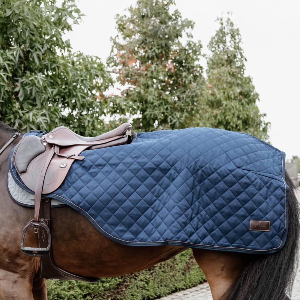 Riding rug 160g