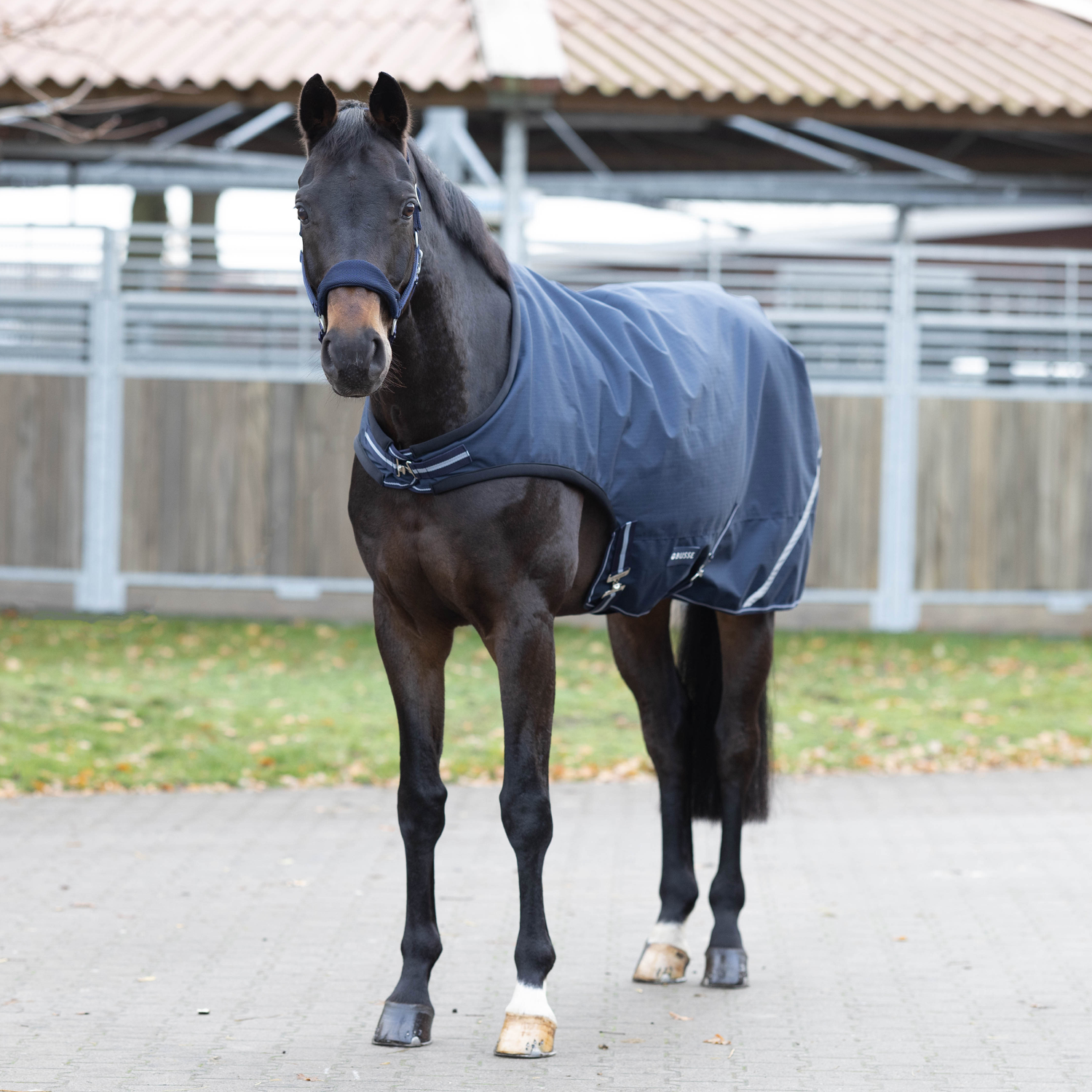 Rain Comfort 50 movement blanket