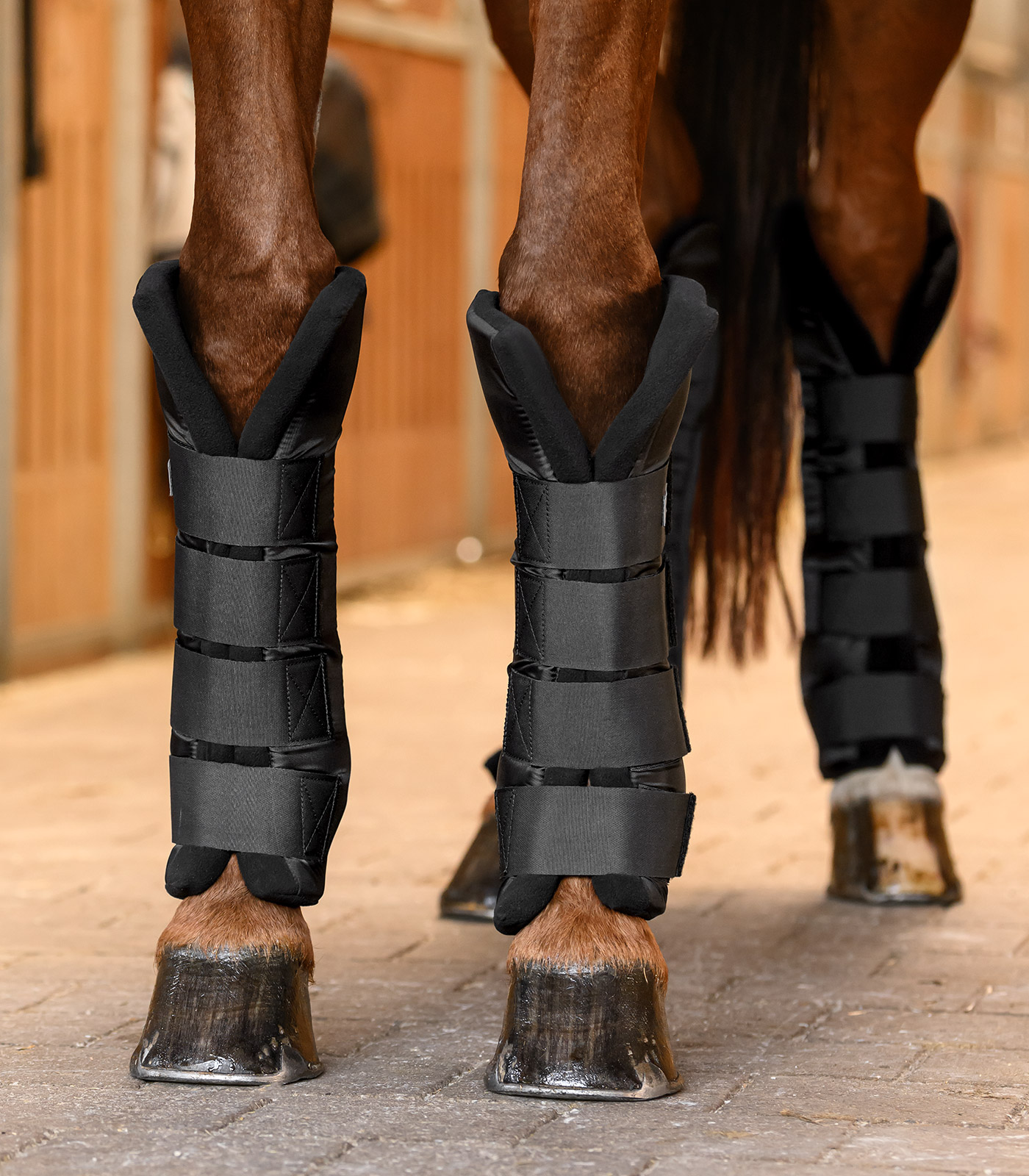 Stallgamaschen mit Gelenksupport, vorne
