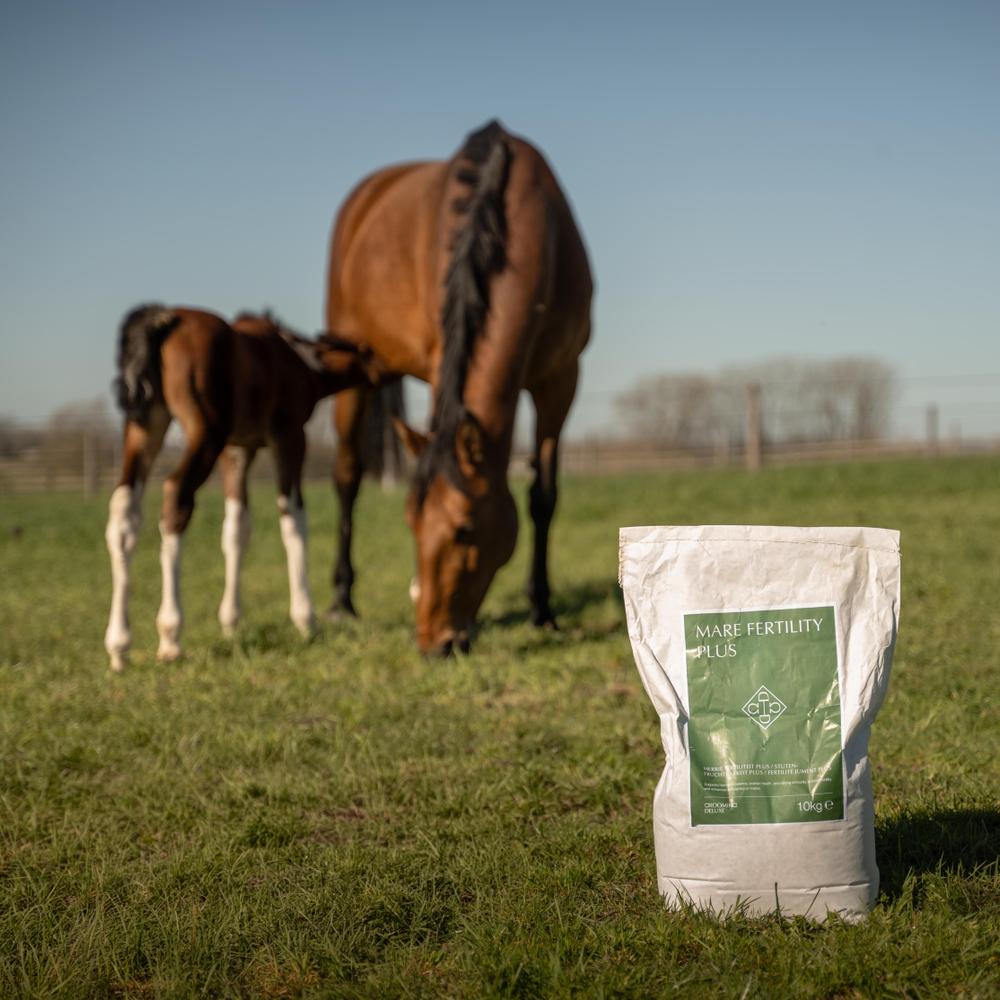 Mare Fertility Plus