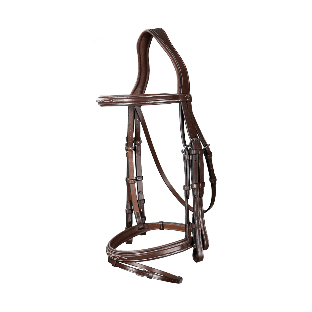 Kandare mit kombiniertem Reithalfter