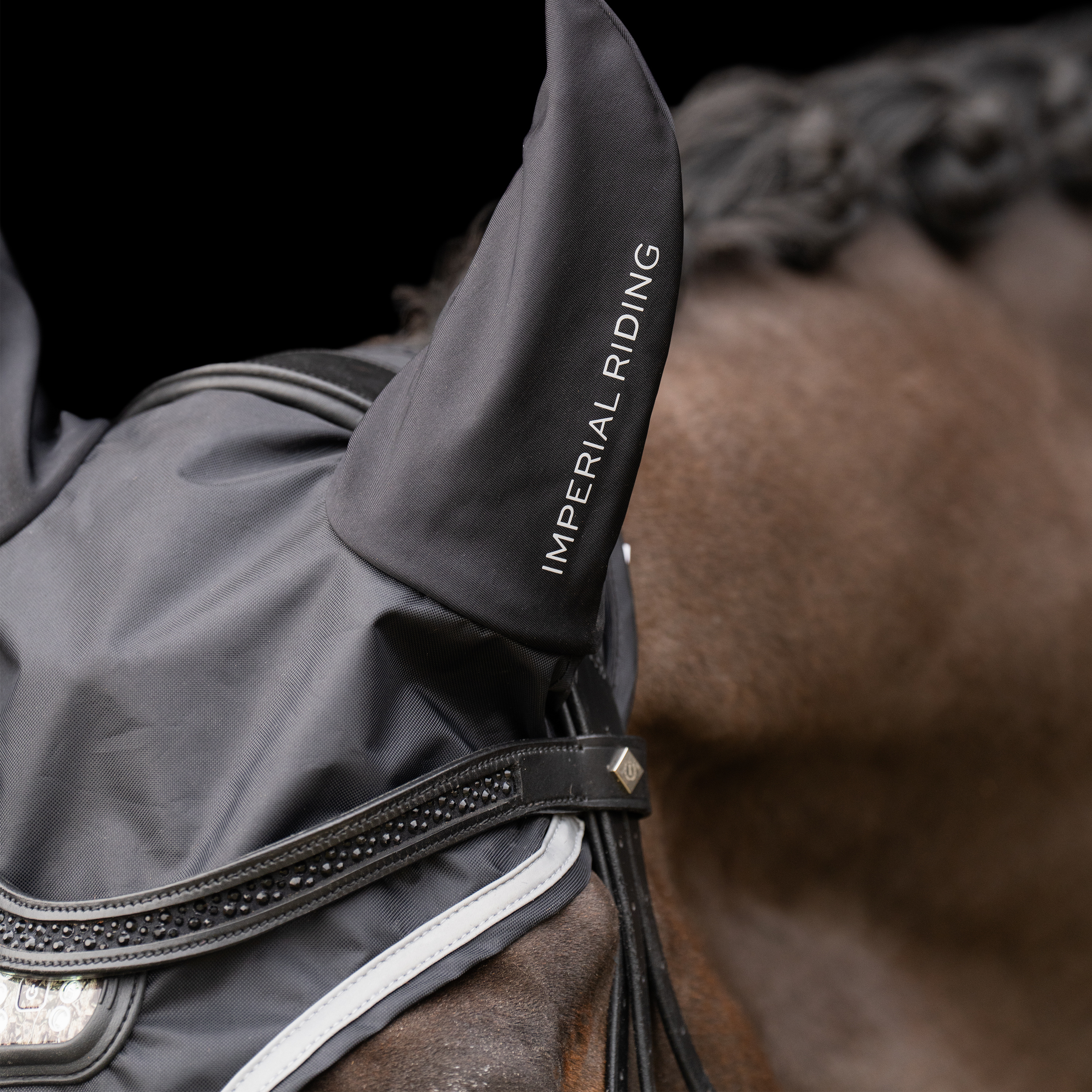 Fliegenhaube Luminous
