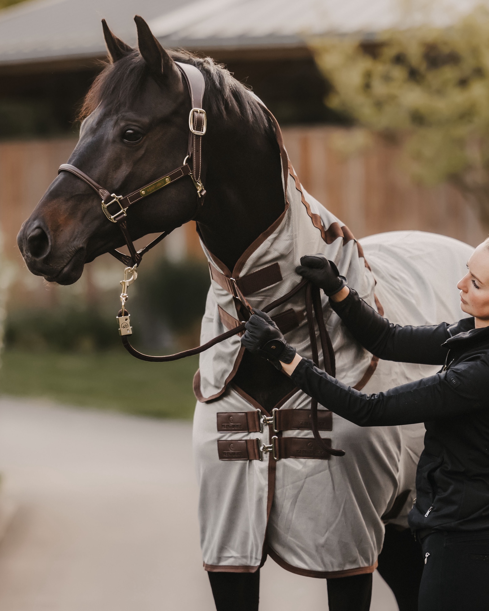 Mesh Classic fly rug