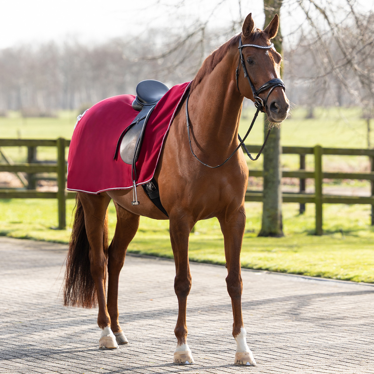 Riding rug fleece with ornament