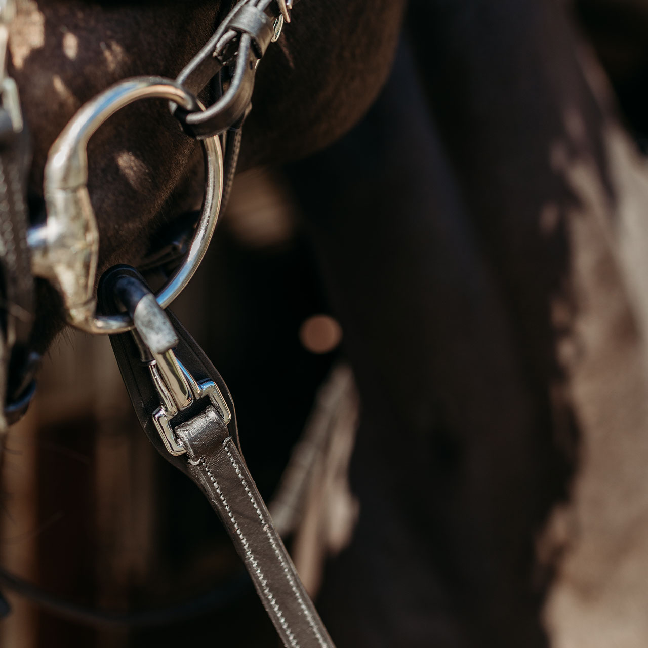 Reins FayRein with clip + stops(8cm)