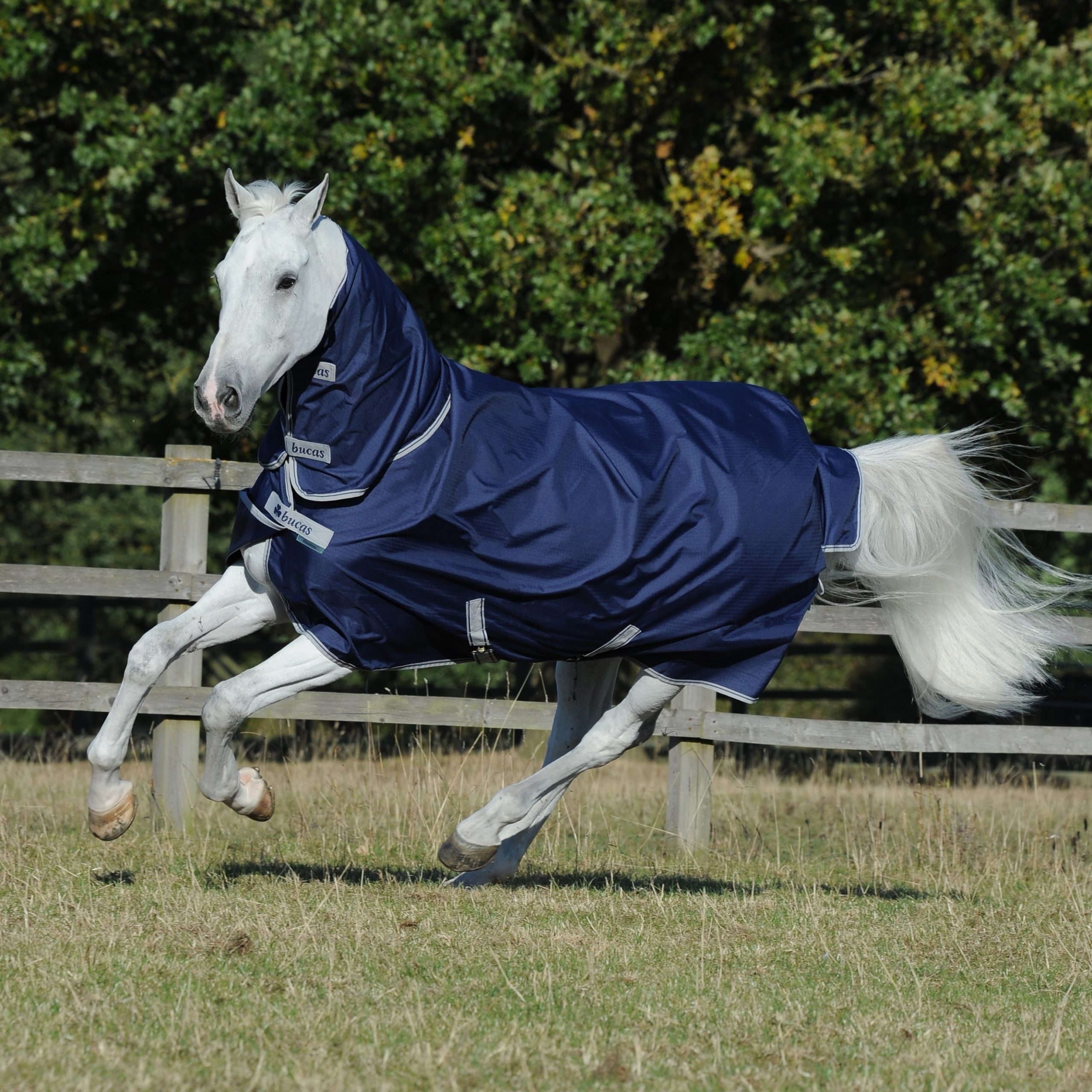 Outdoor blanket Freedom Turnout 150g