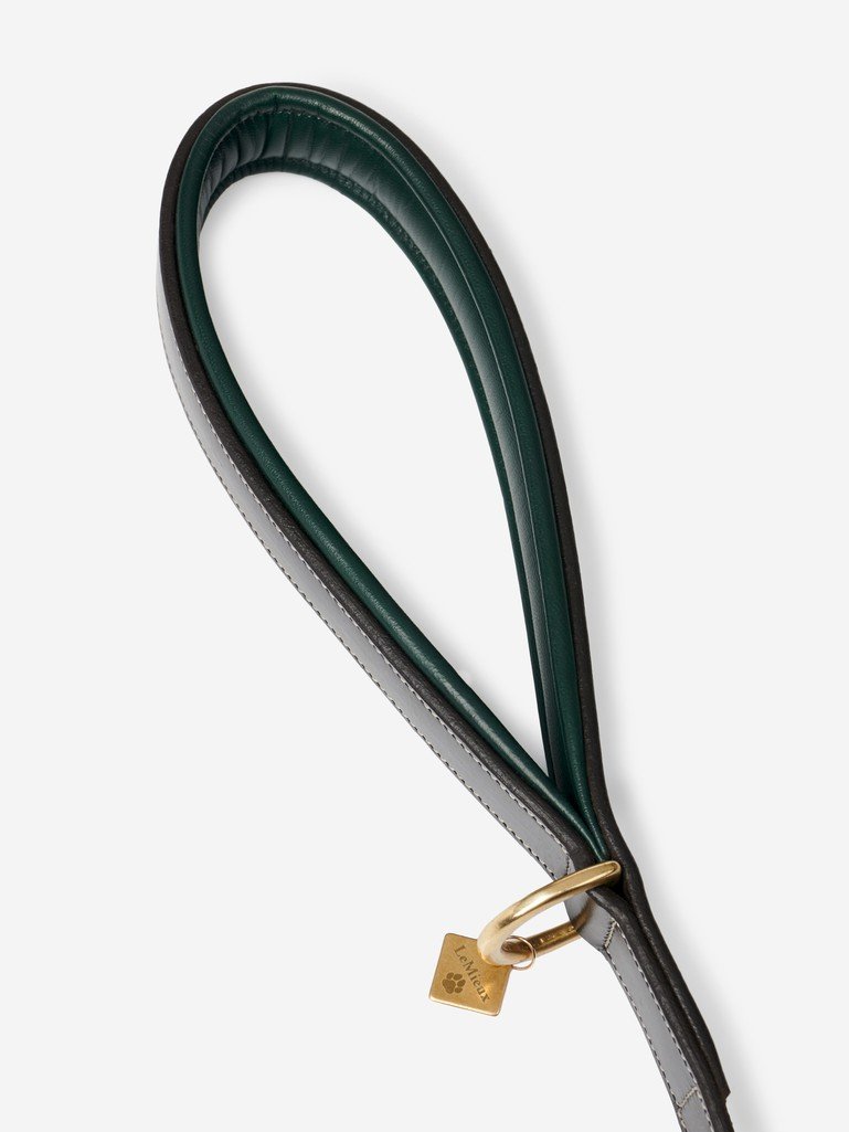 Windsor dog lead