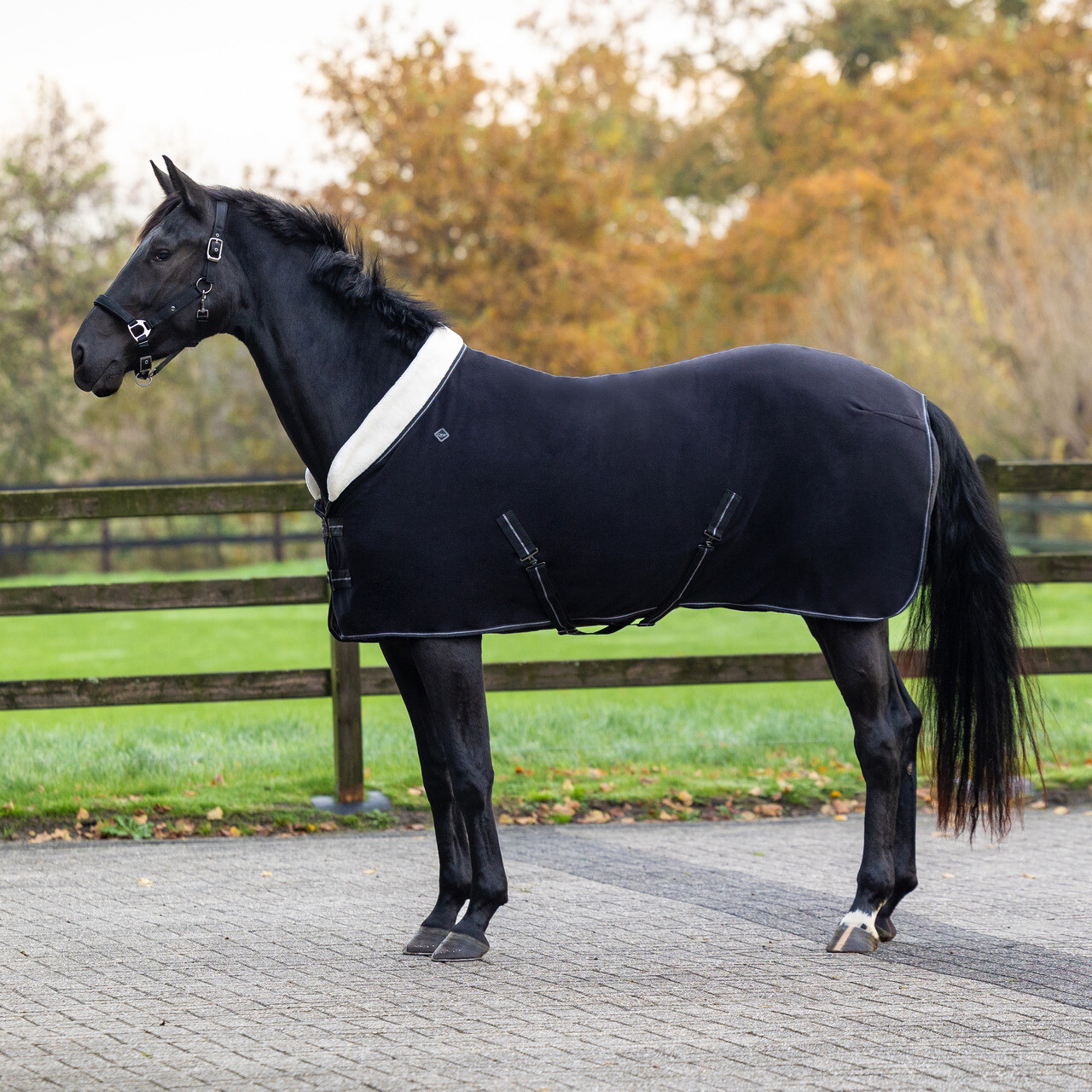 Fleecedecke Shine in schwarz