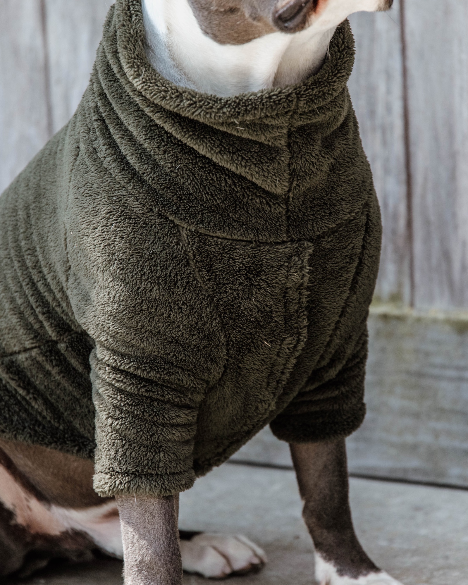 Teddy fleece dog jumper