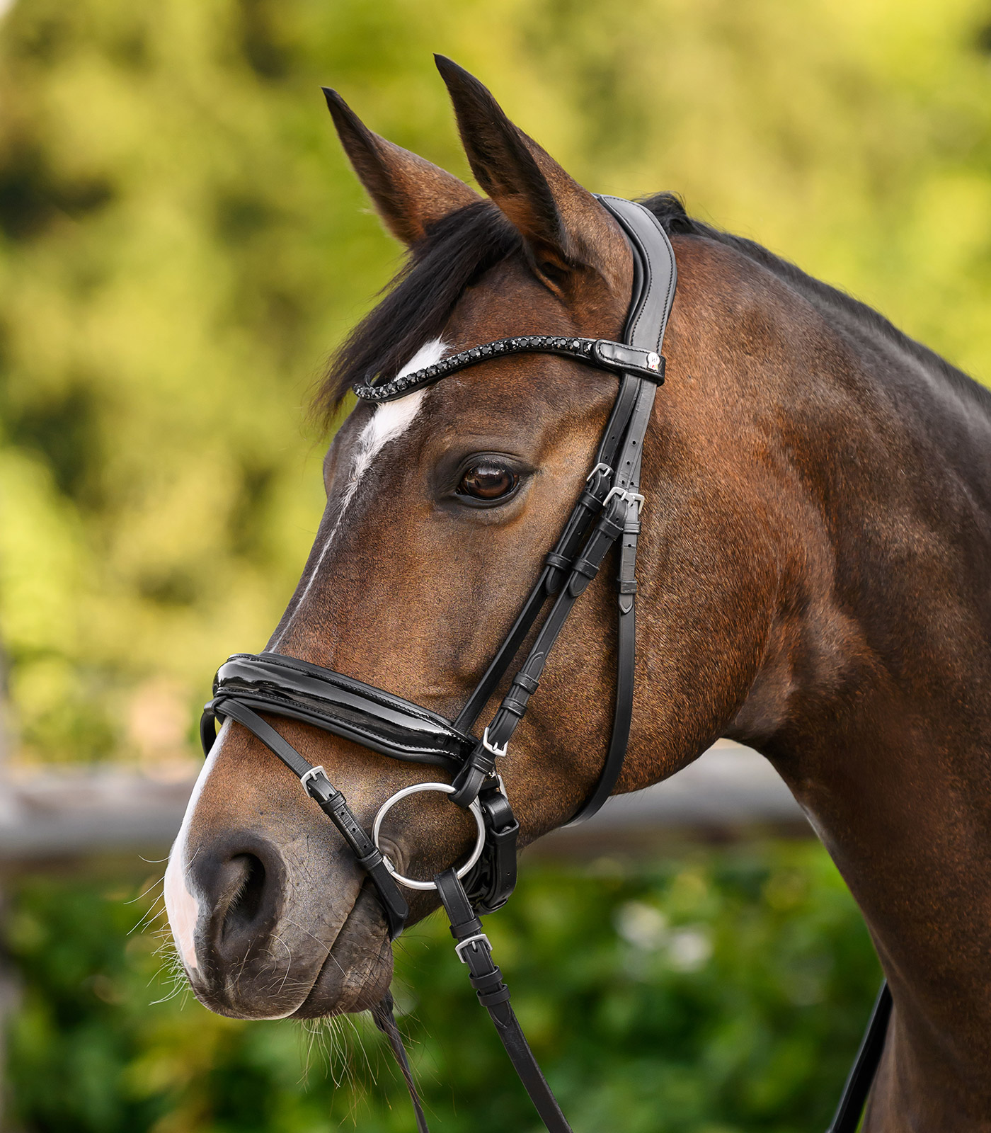 X-Line Browband Shine, black