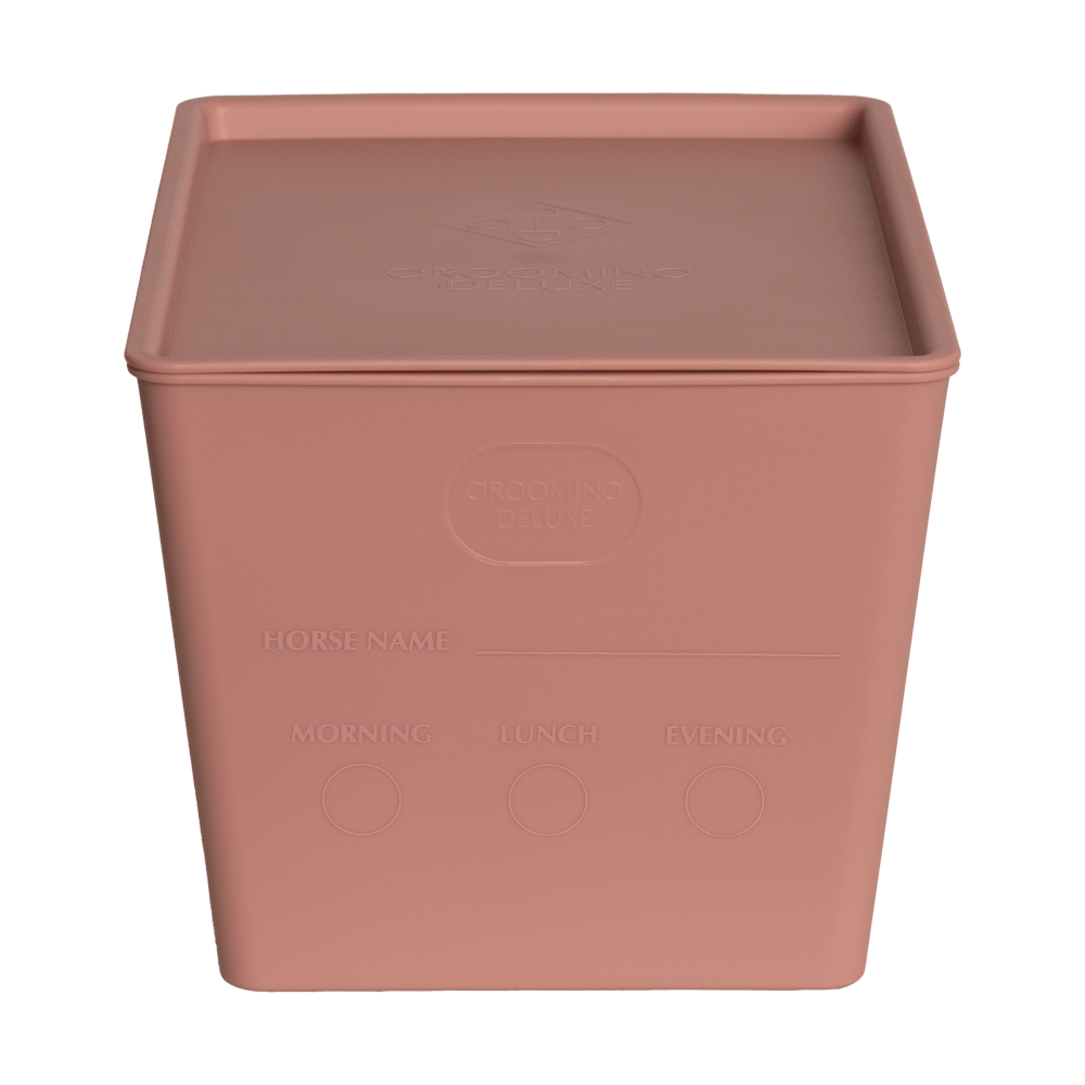Feed box for horses with lid
