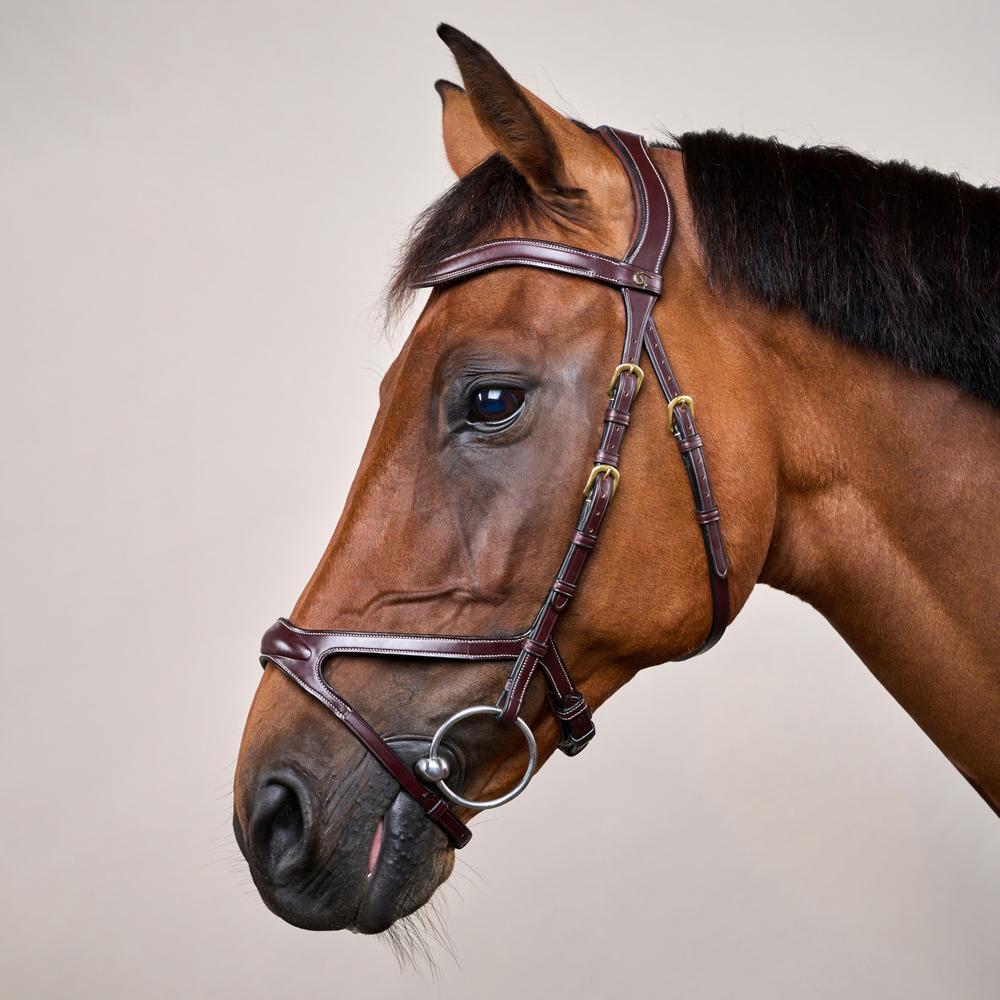 X-fit Trense DY | Dy'on