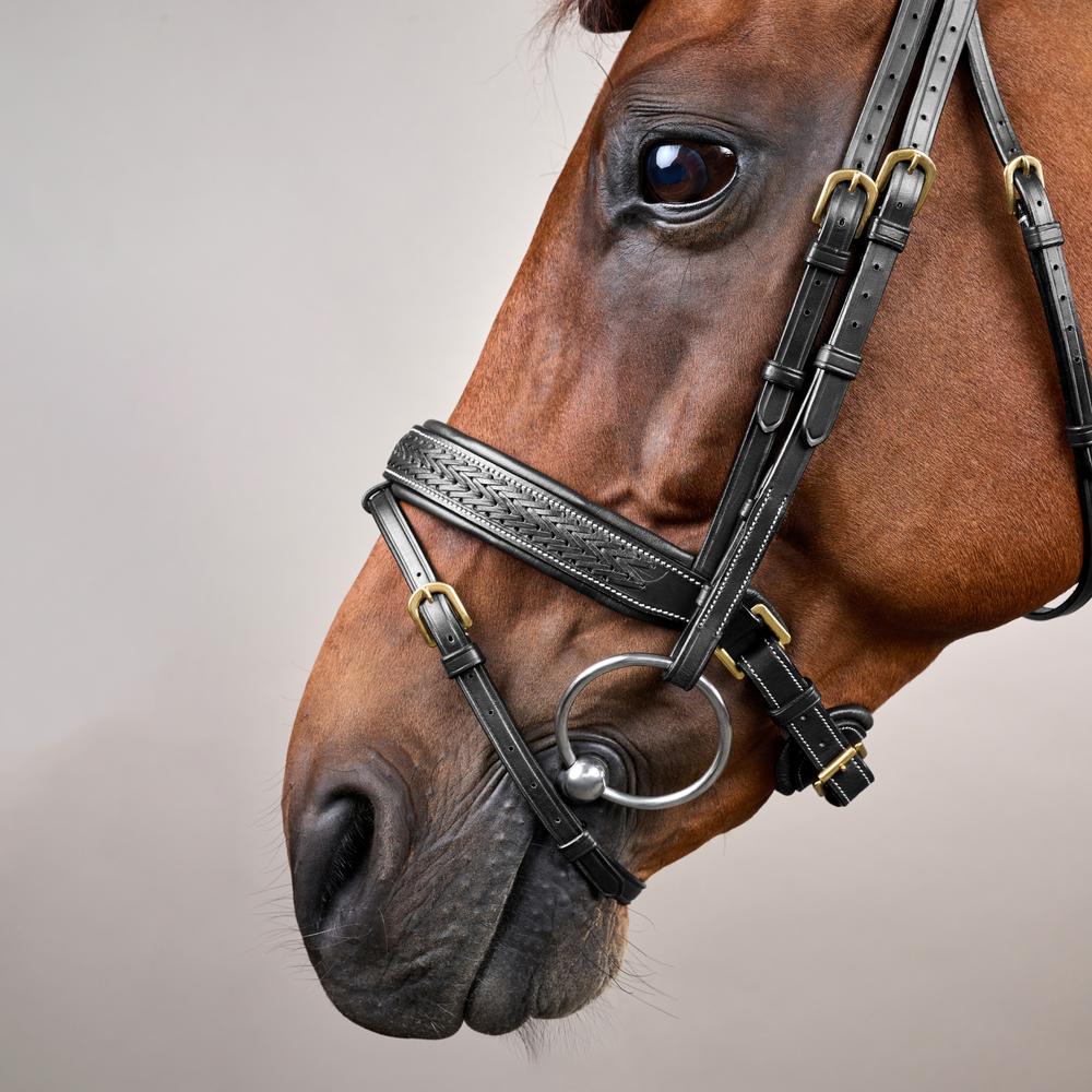 Geflochtene Trense mit schwedischen Reithalfter DY | Dy'on